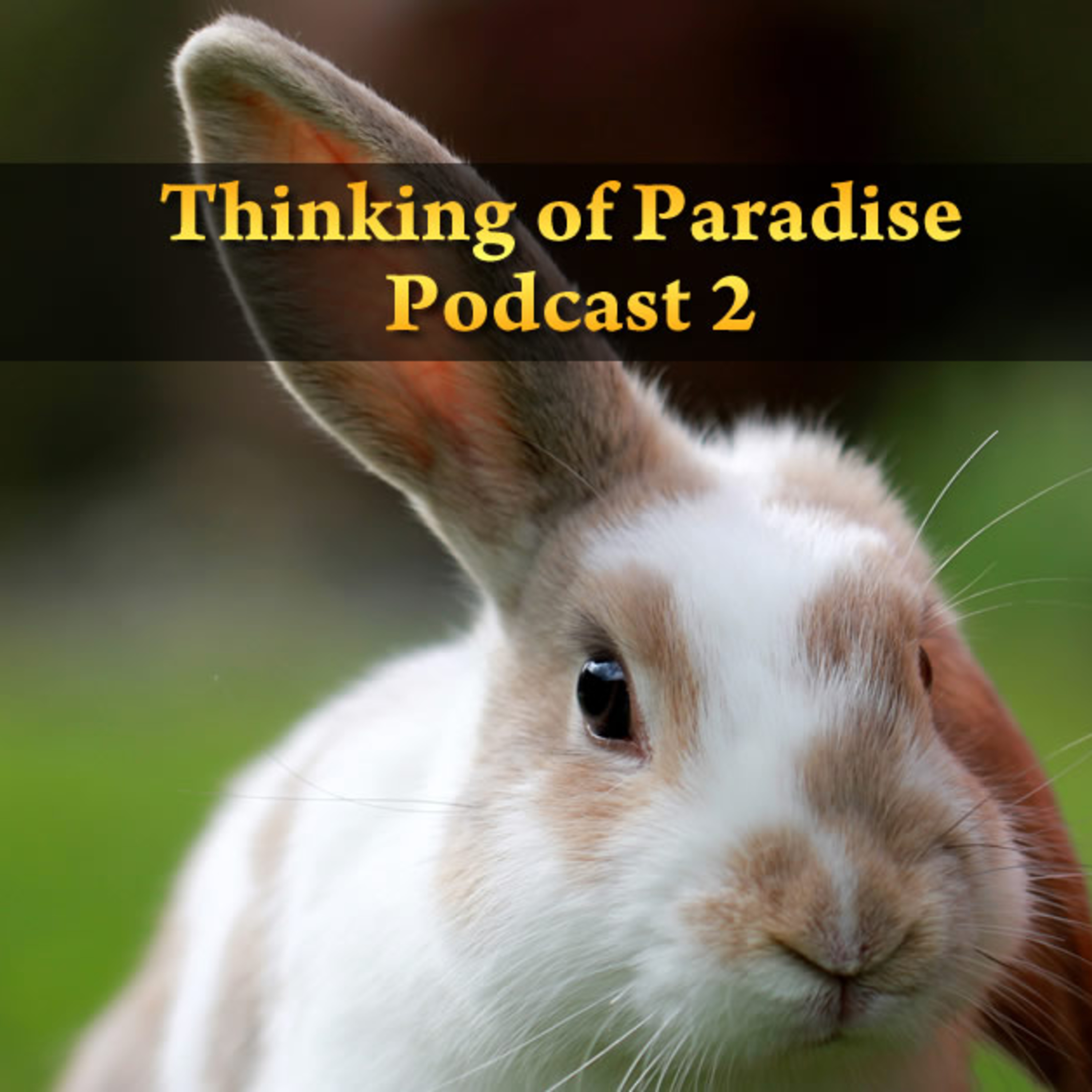 Thinking of Paradise -Episode 2