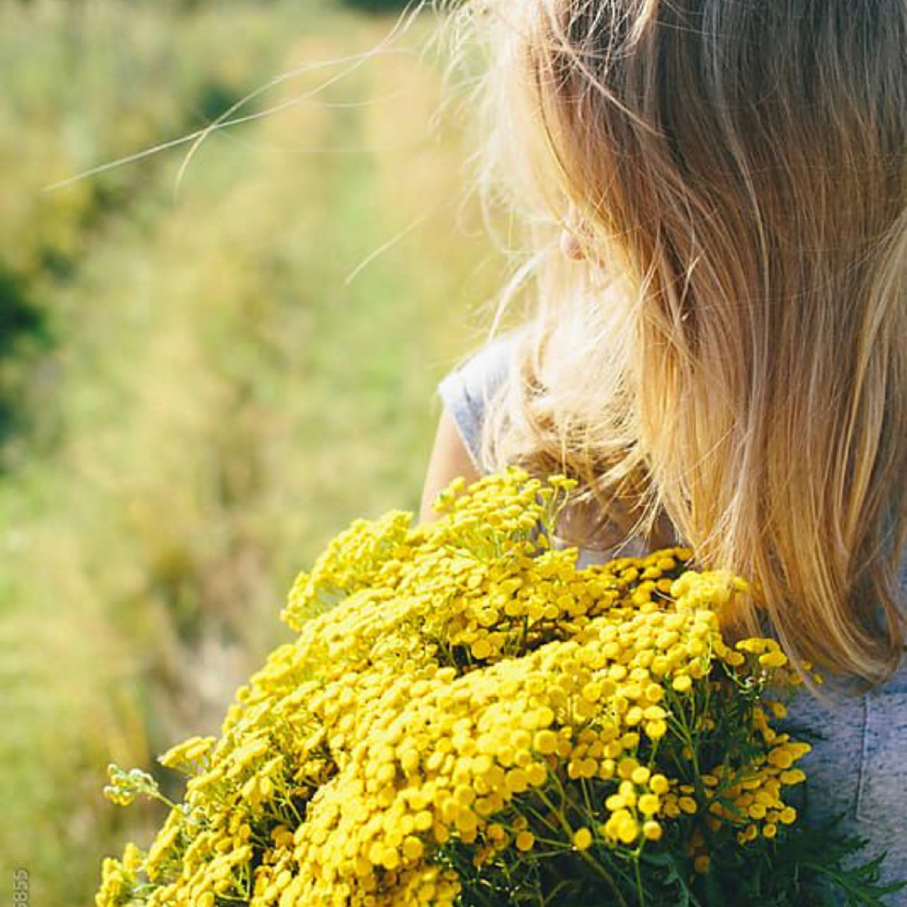 ثقافة العزله