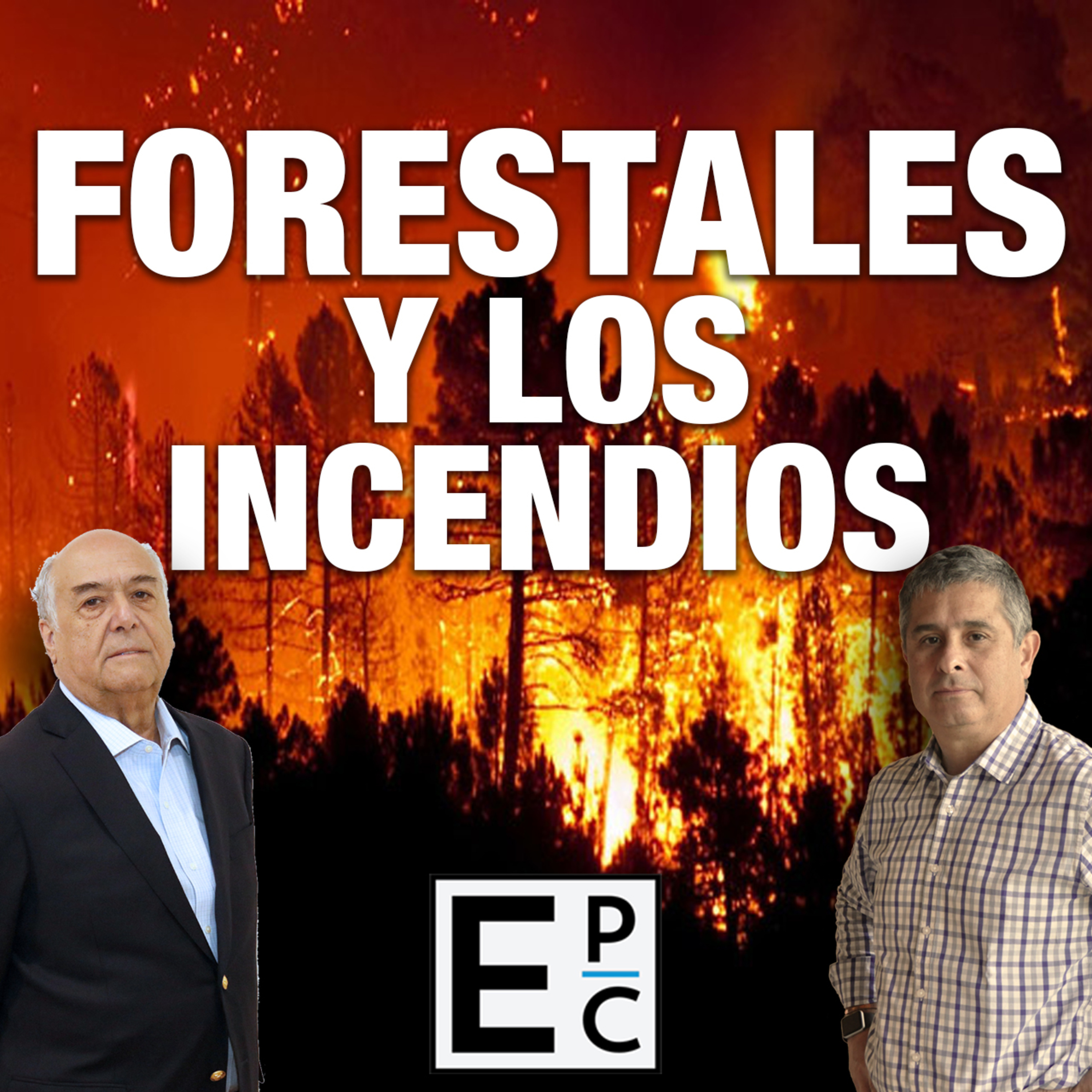 Es Posible Conversar