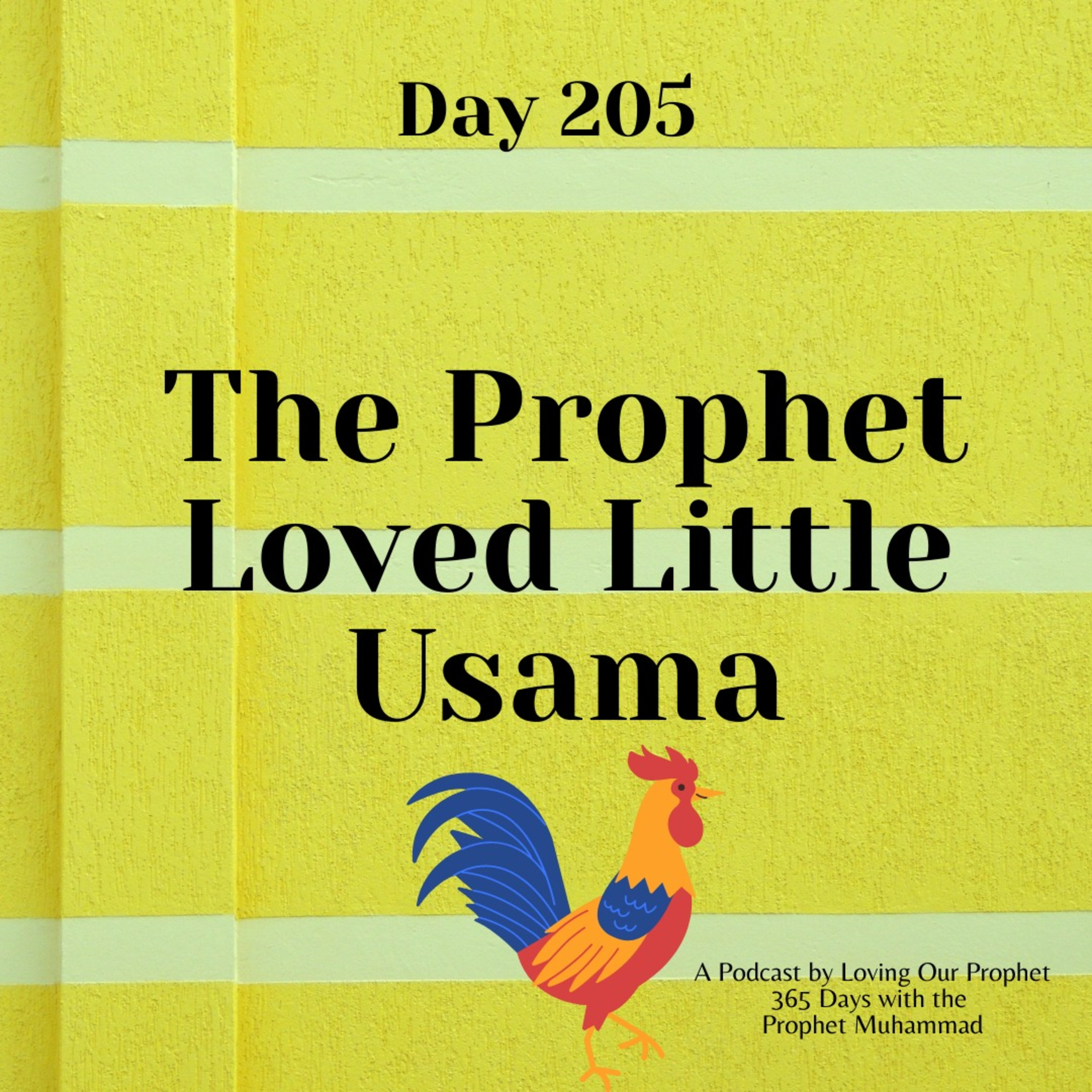 365 Days with the Prophet MUHAMMAD