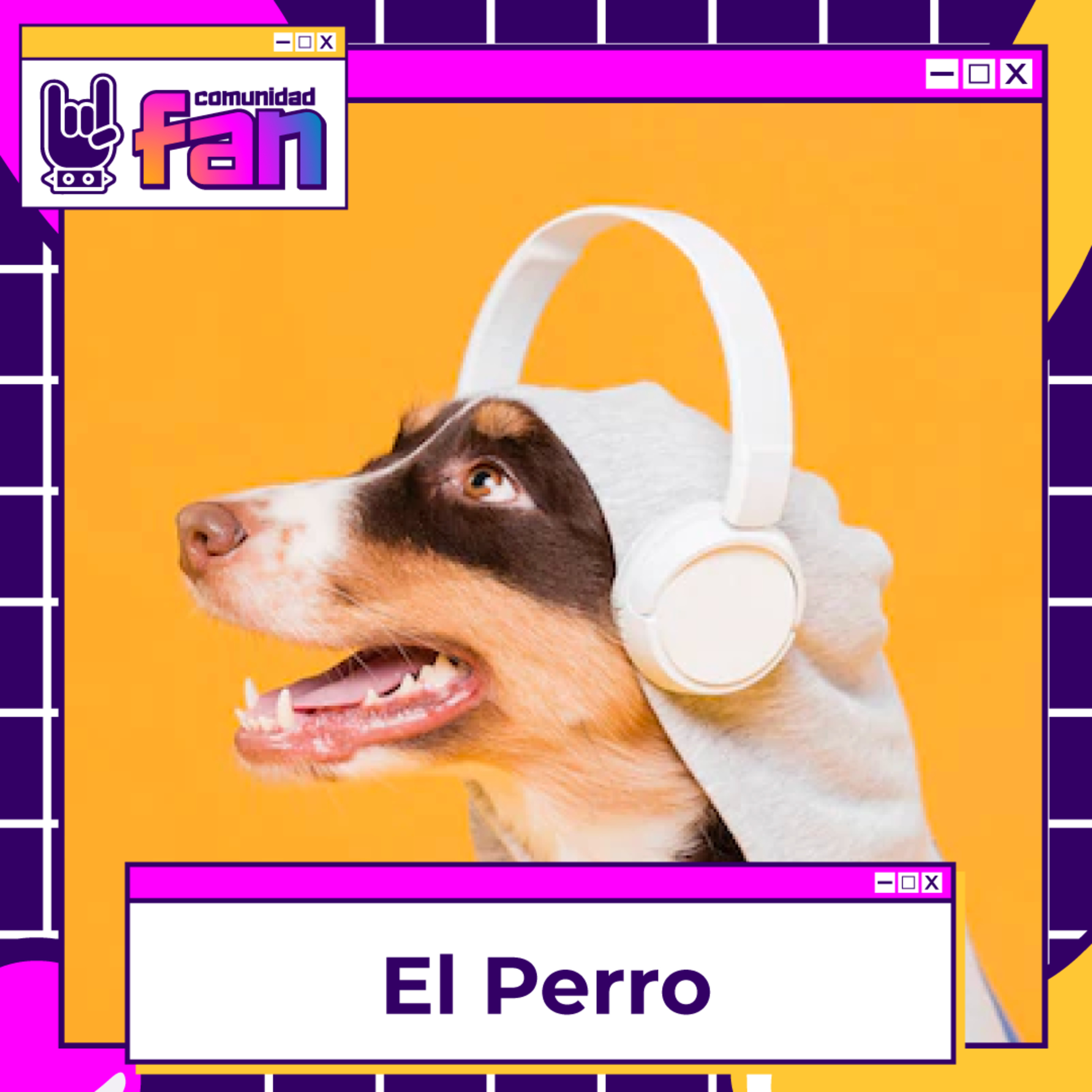 ESPECIAL - El Perro 05-08 episode artwork