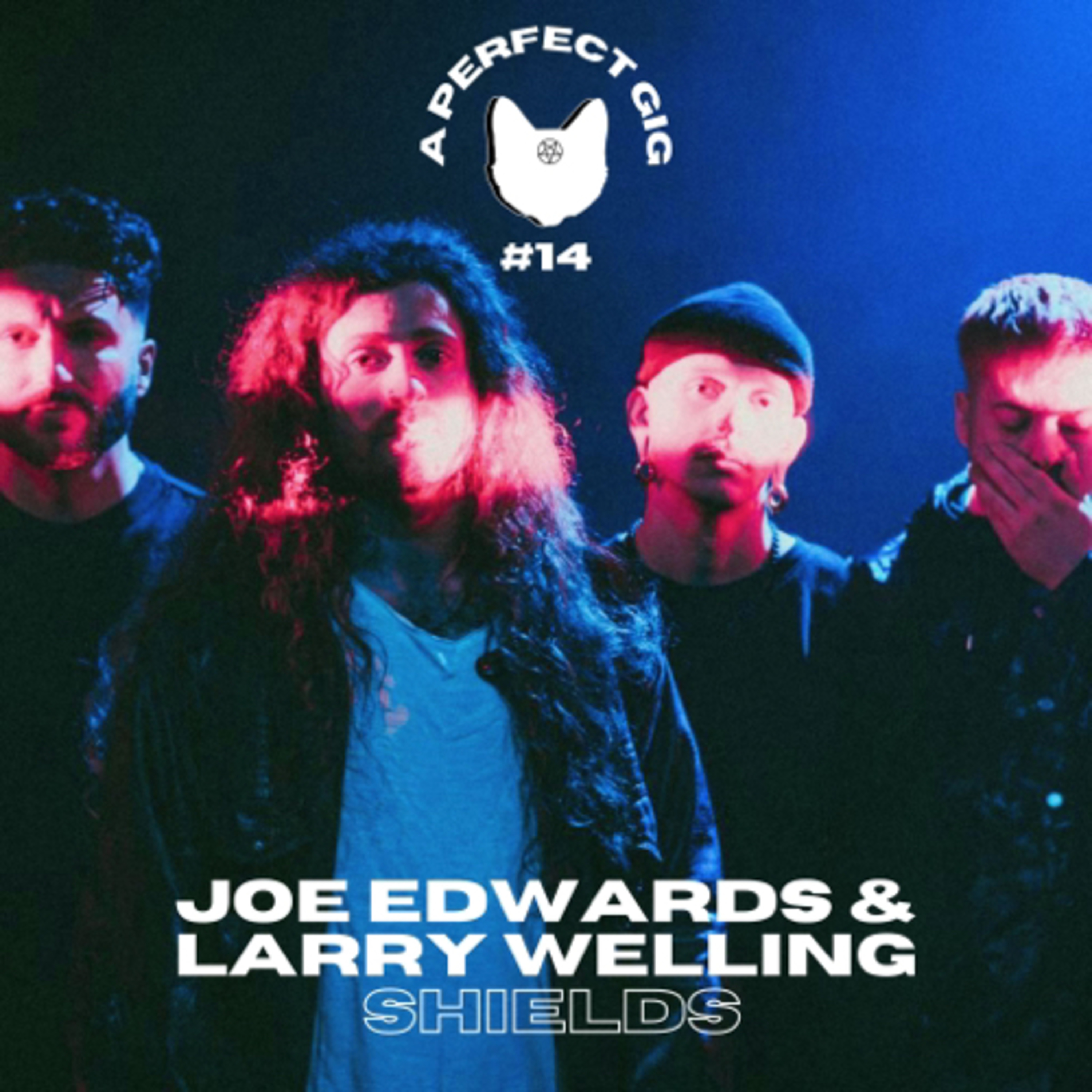 A PERFECT GIG #14 | Joe & Larry (Shields) episode artwork