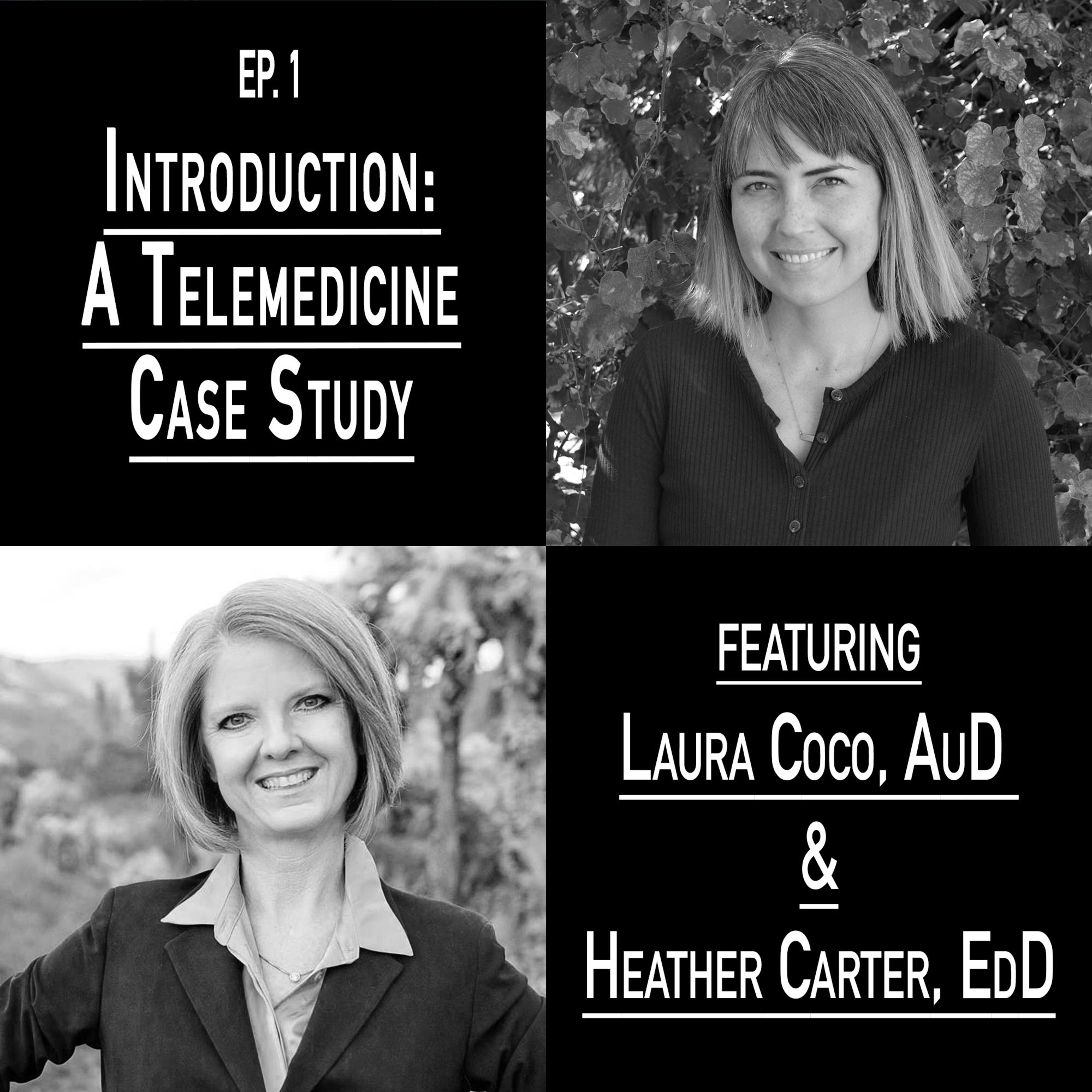 EP. 1: Introduction: A Telemedicine Case Study 