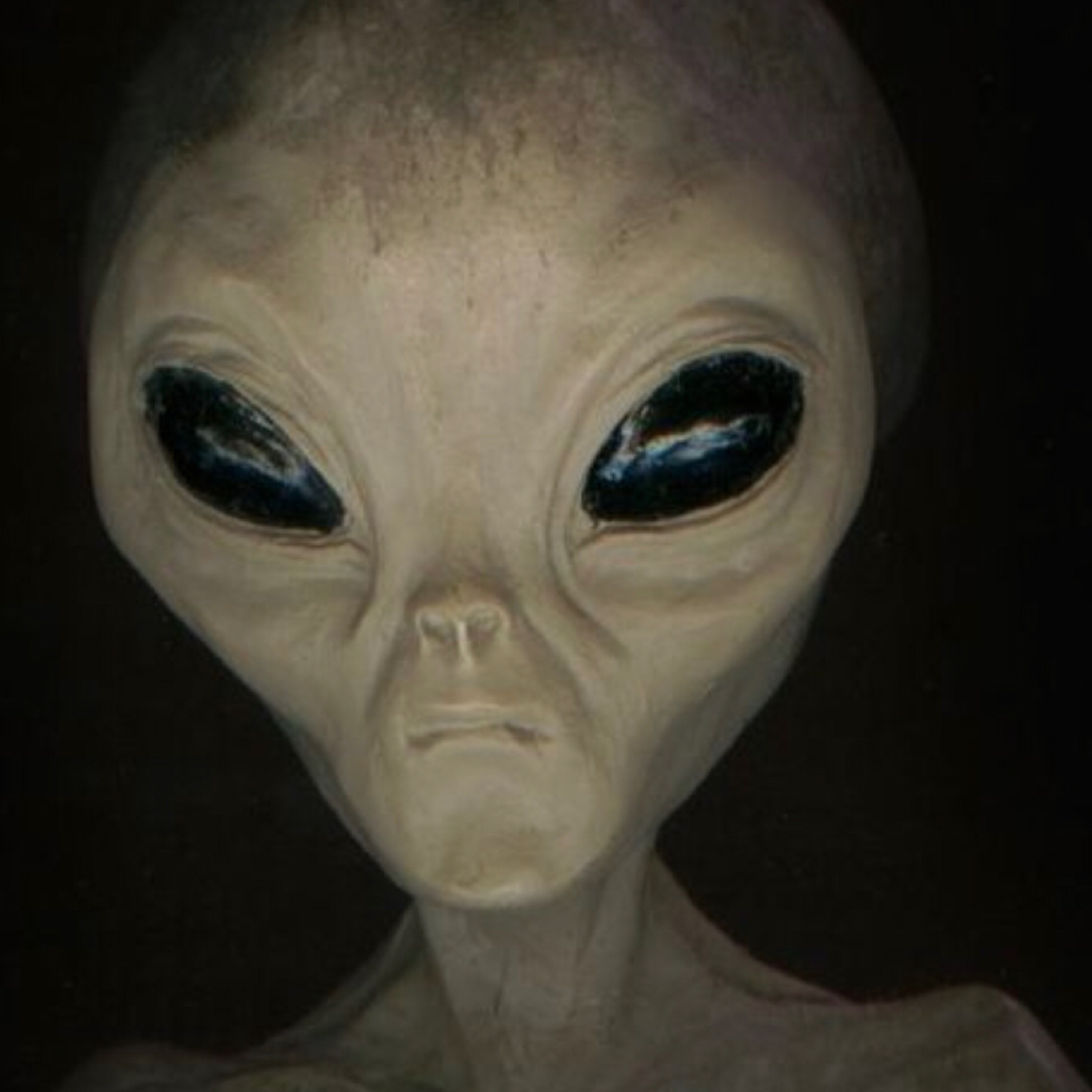 Does aliens exist?  episode artwork