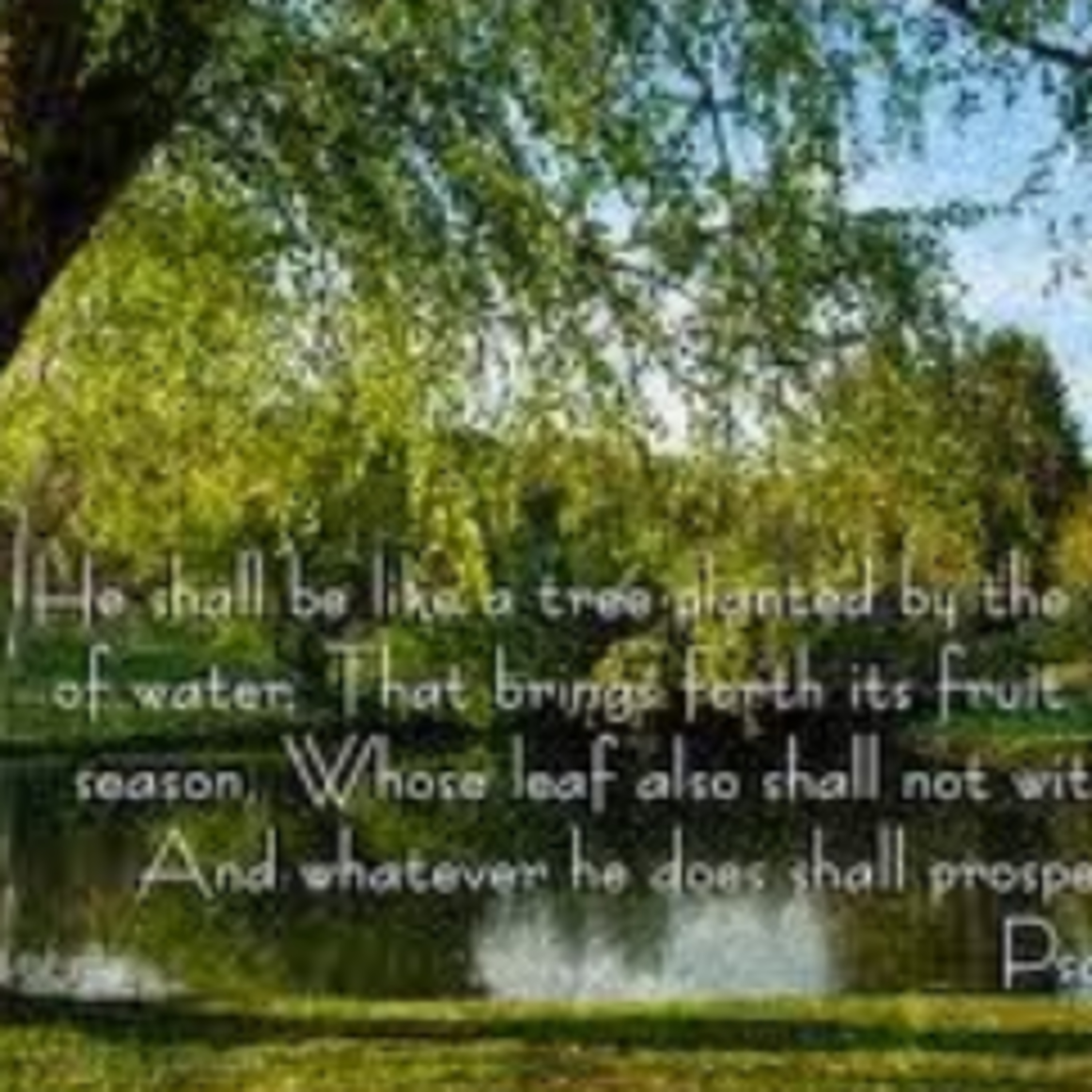 ONE PSALMS A DAY (1) episode artwork