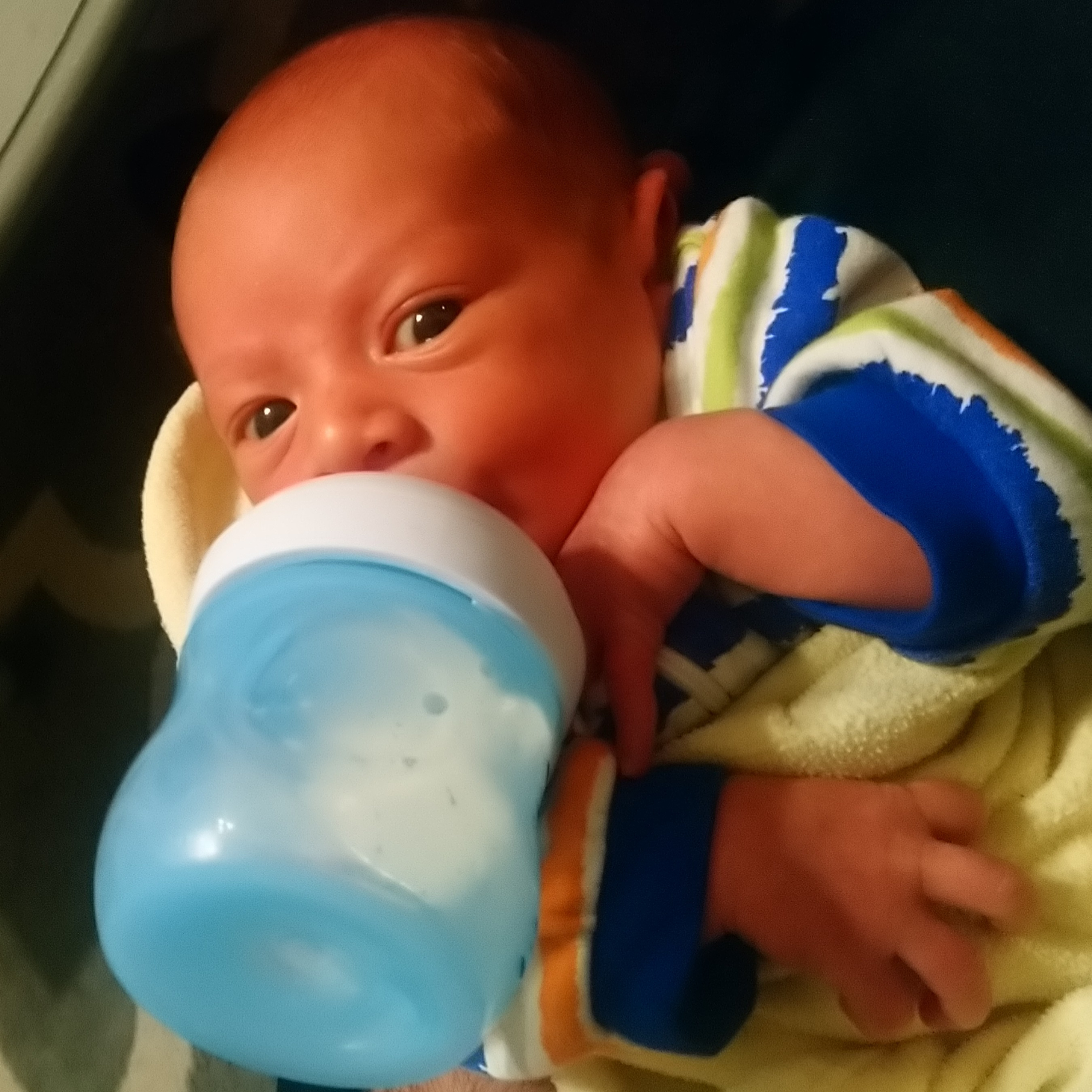 Bottom Shelf Dreams (Campus One80 Radio)