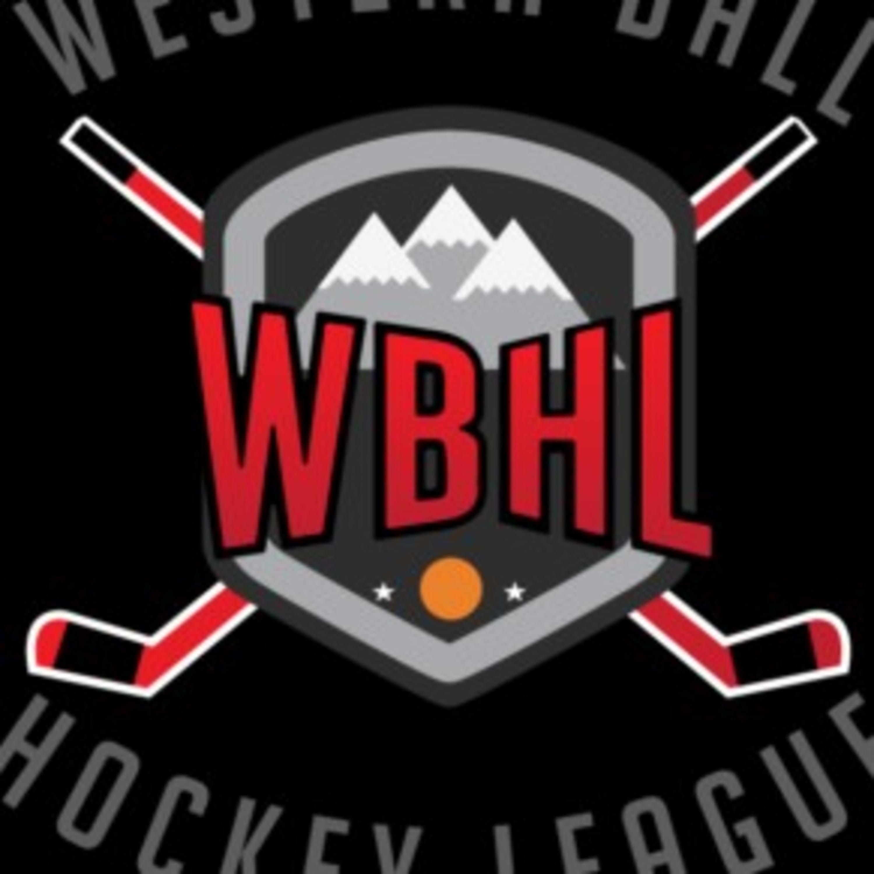 #1 - The purpose of Western Ball Hockey