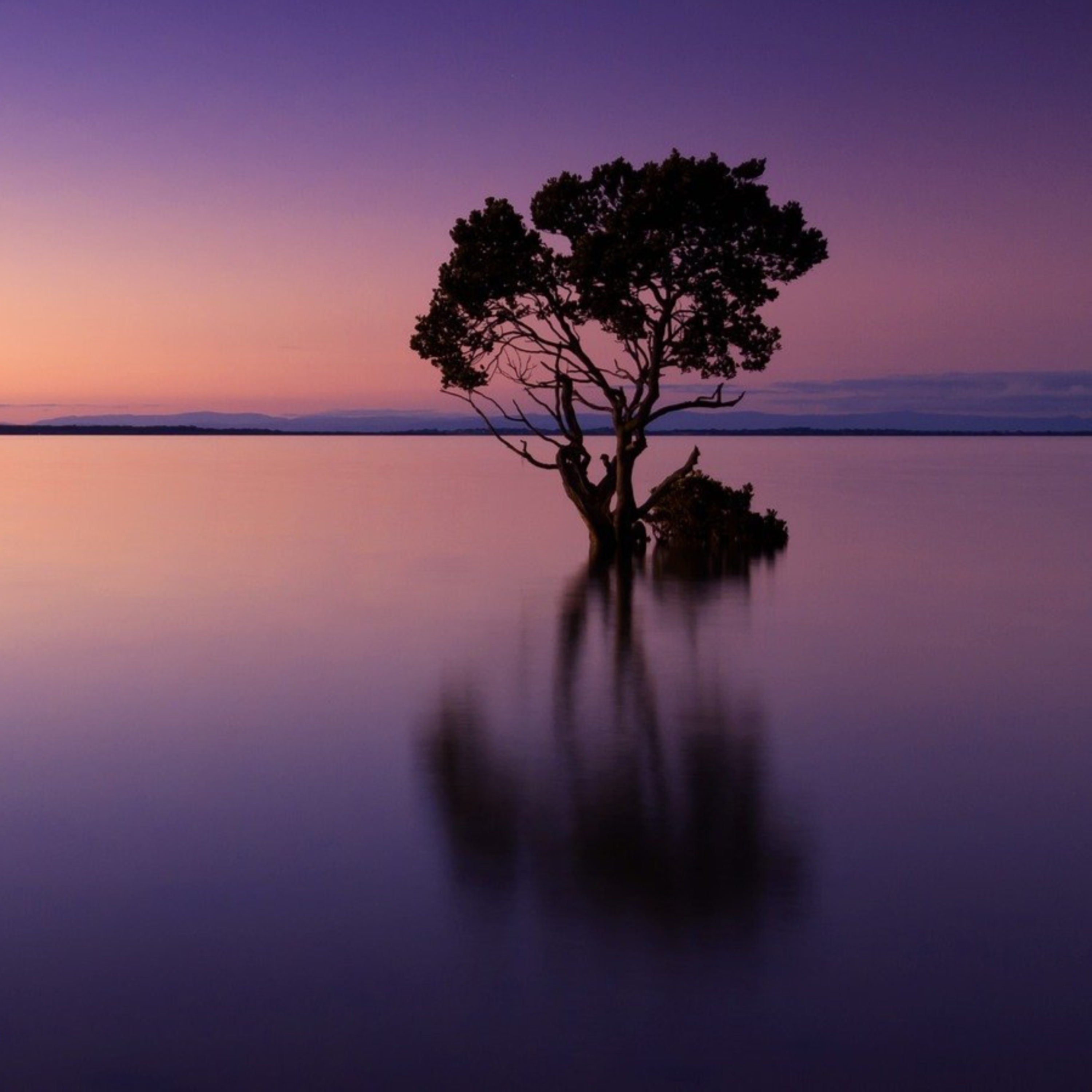 Meditate with Ambika