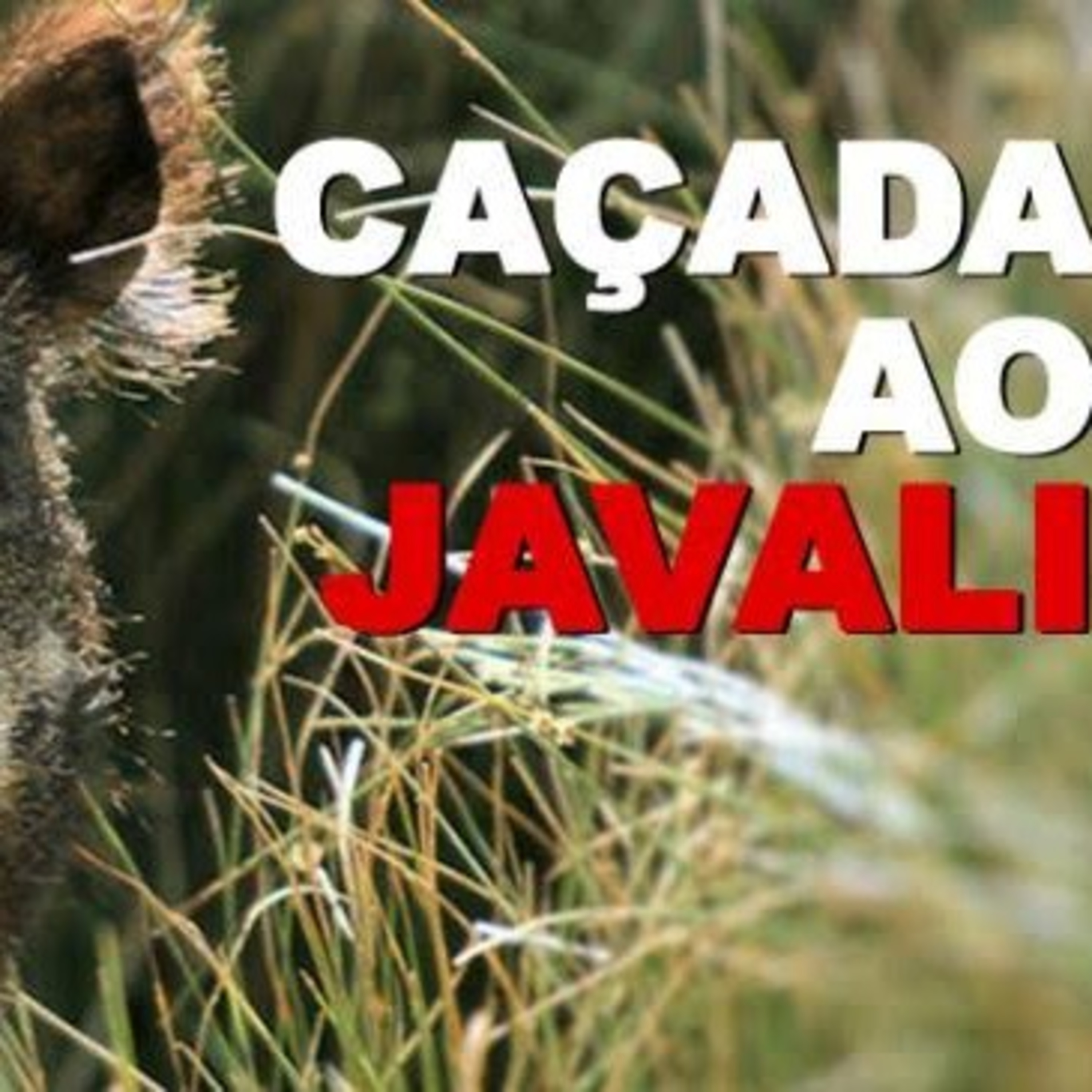 Podcast Carcarás