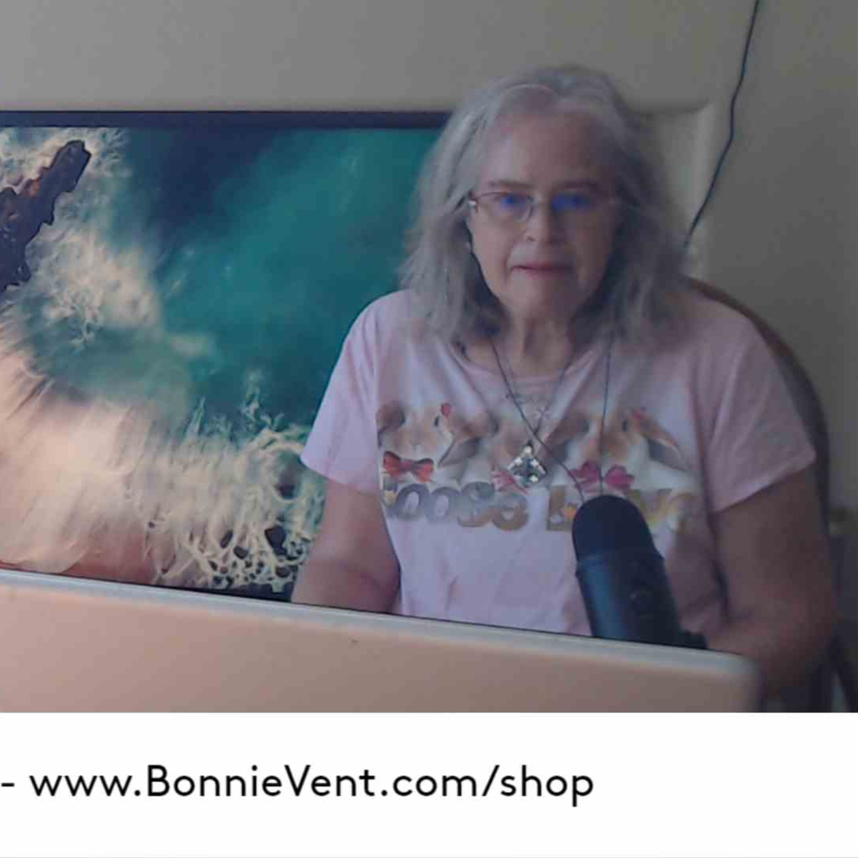 Bonnie Vent\'s Inspirational Messages