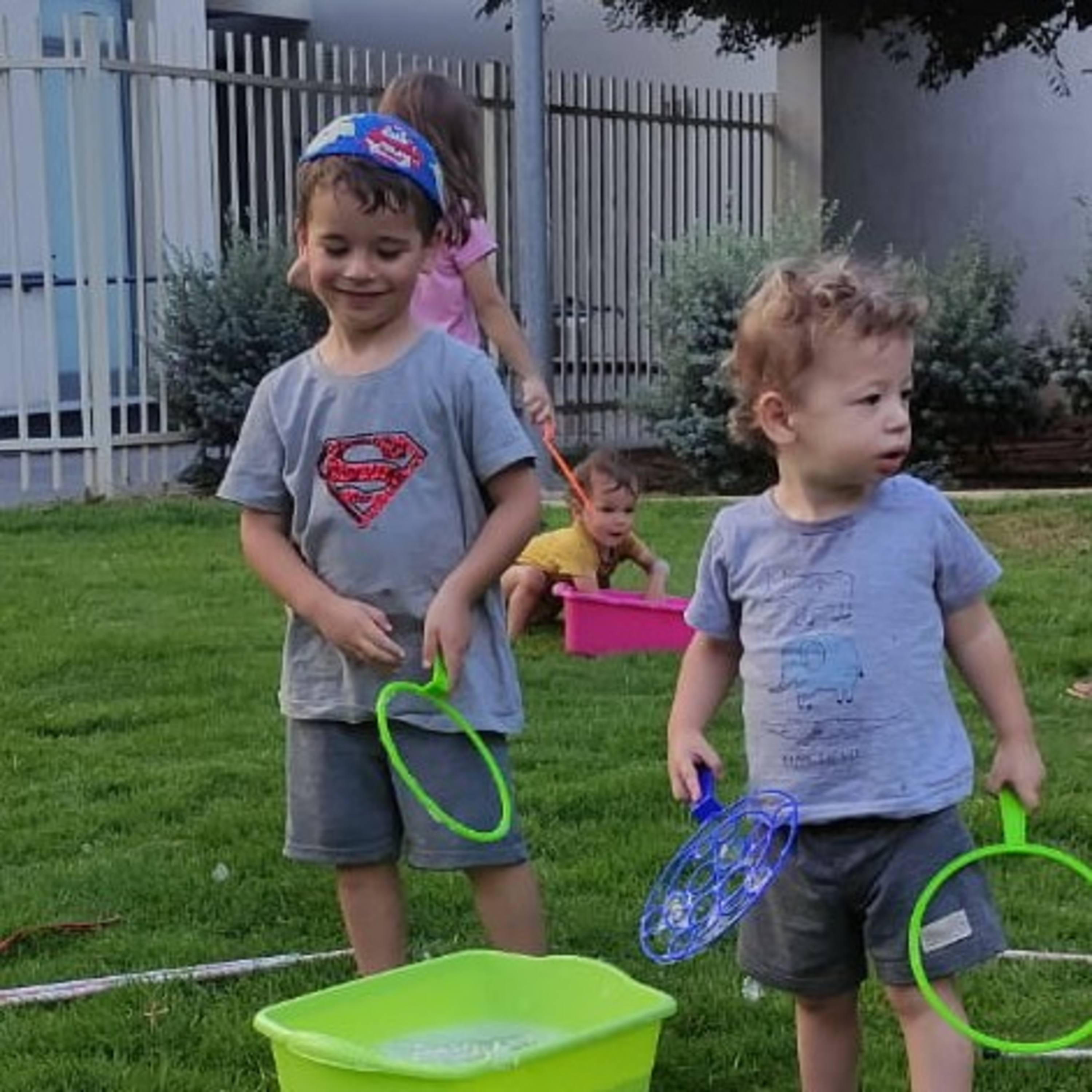 שחר, נווה ושלוש המשאלות של חנוכה