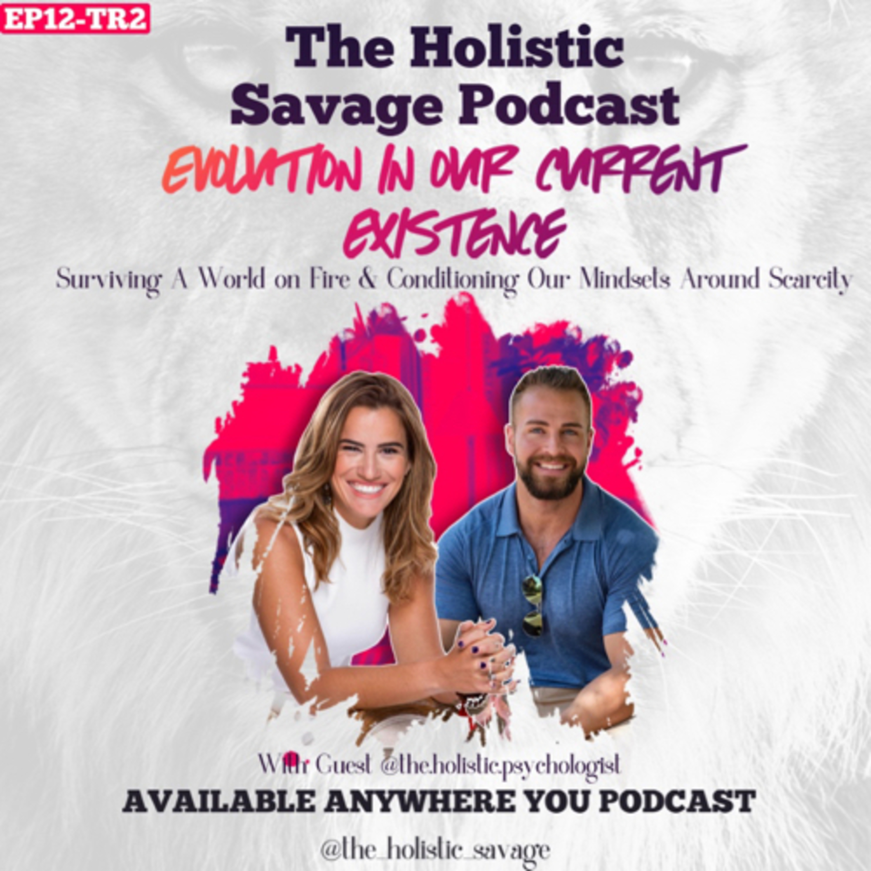 24: How to Do the Work with The Holistic Psychologist  episode artwork