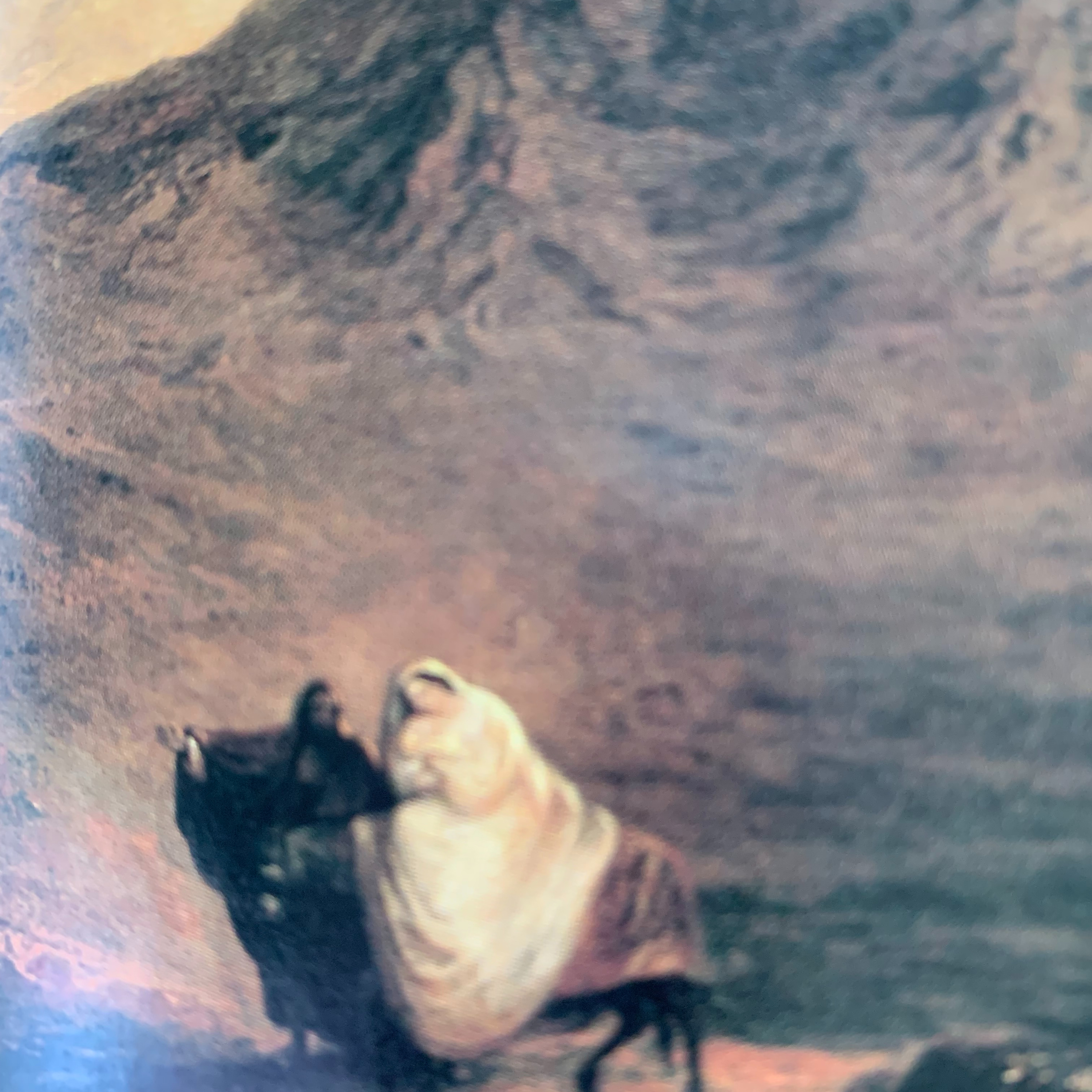 The Miracle of the Christmas Child