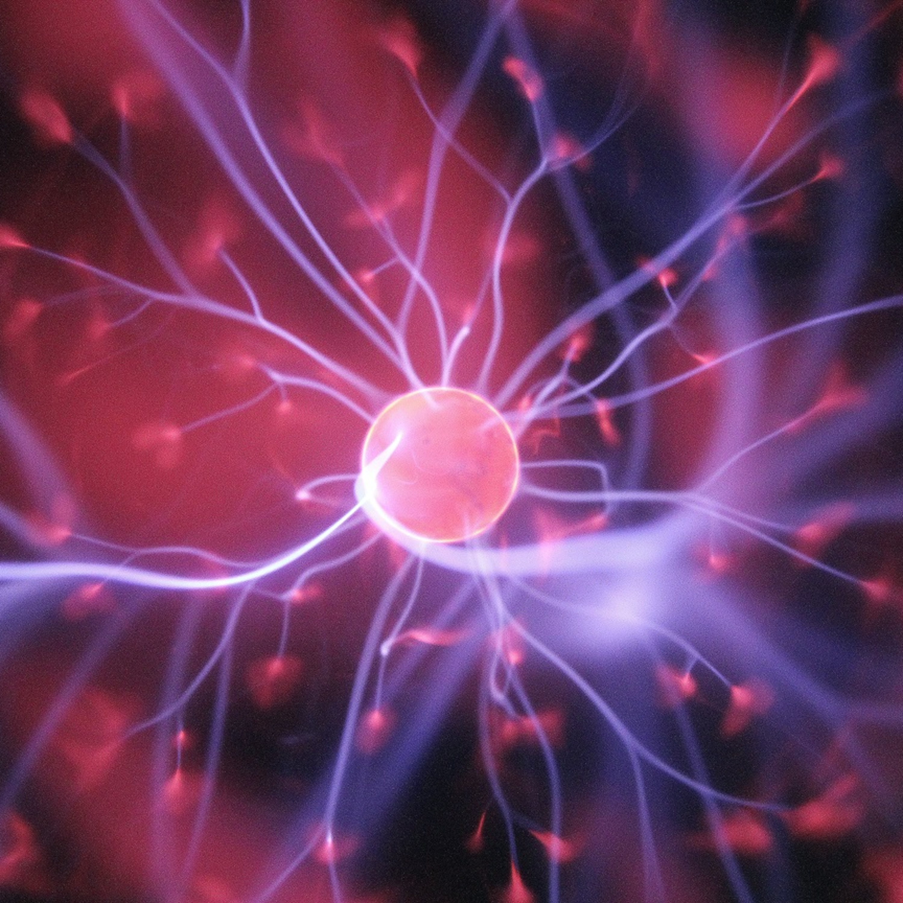 Entrena tu cerebro para el éxito