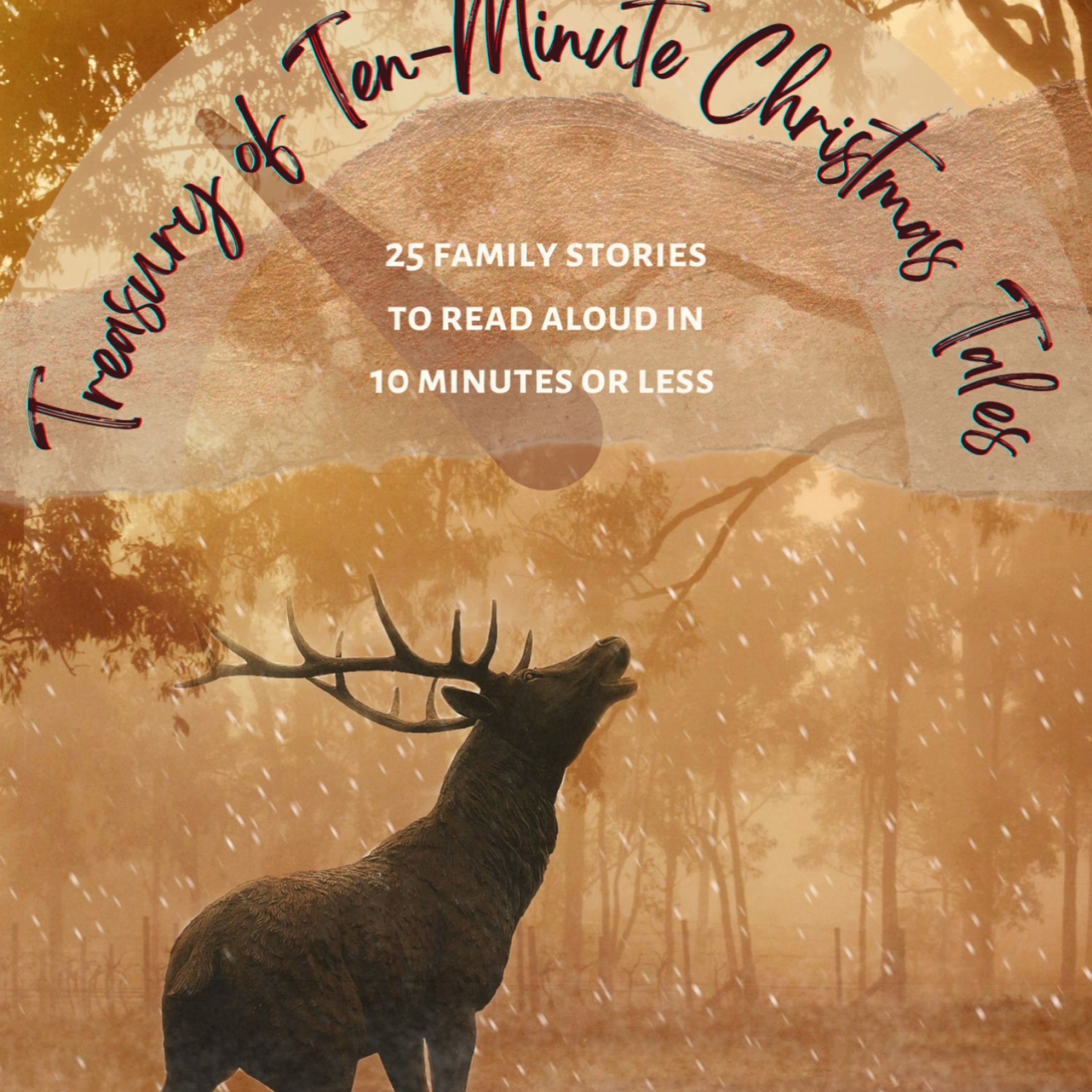 Advent Adventures: Daily Stories with Nicola