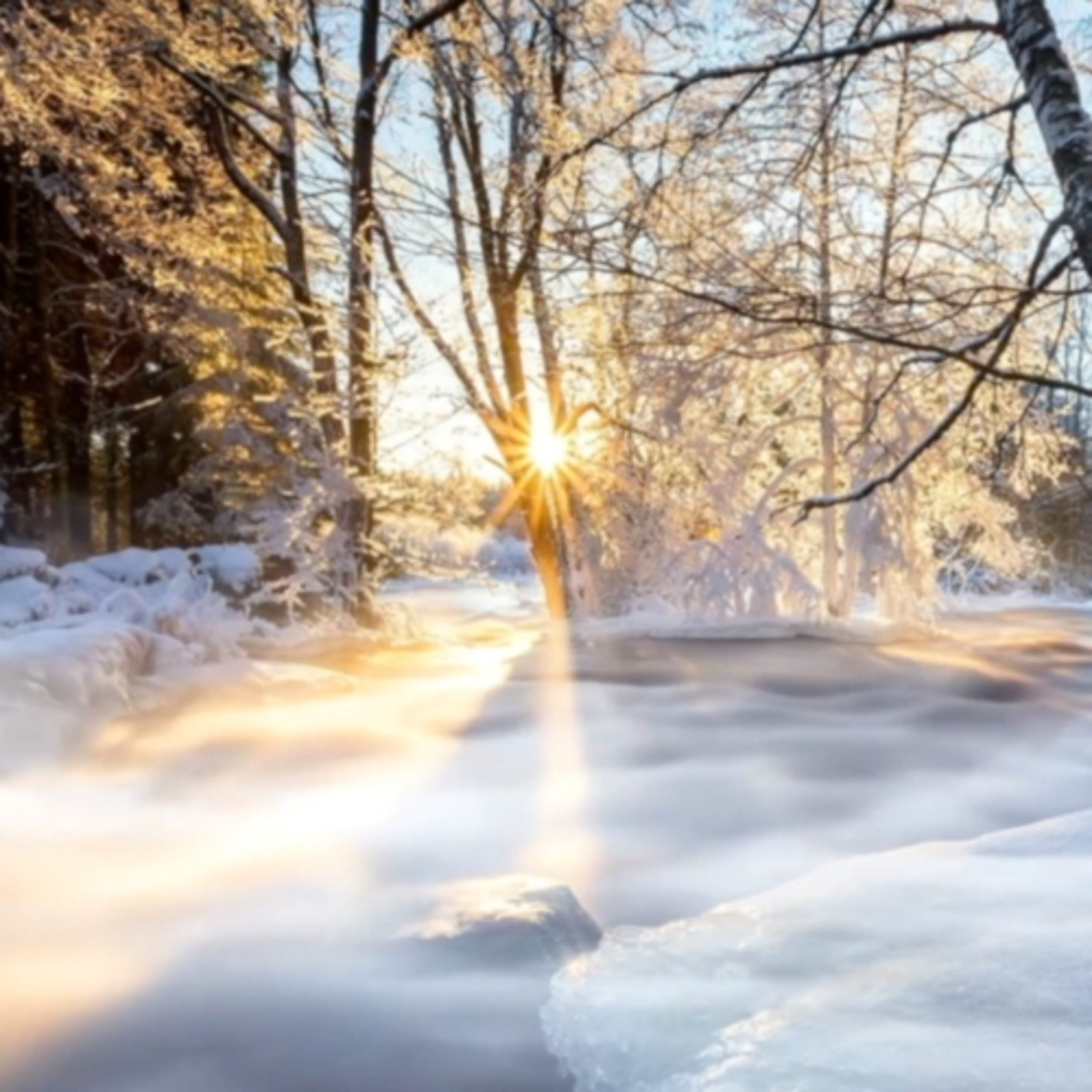 Advent Adventures: Daily Stories with Nicola