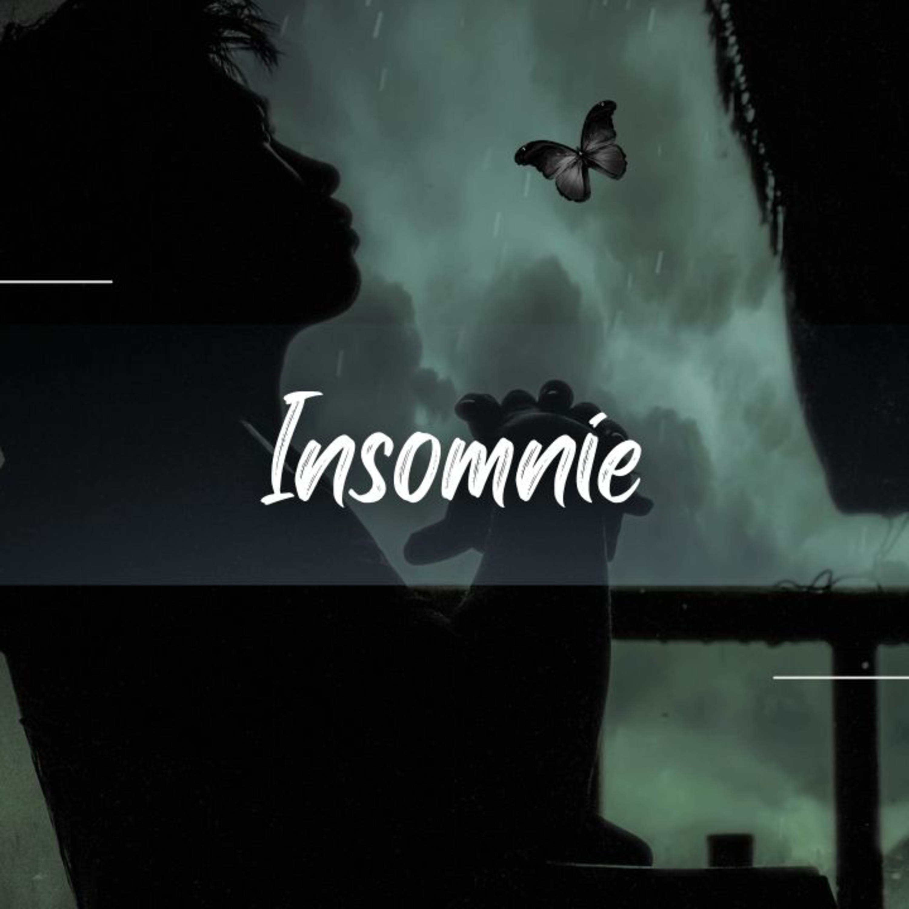 Le Papillon Noir