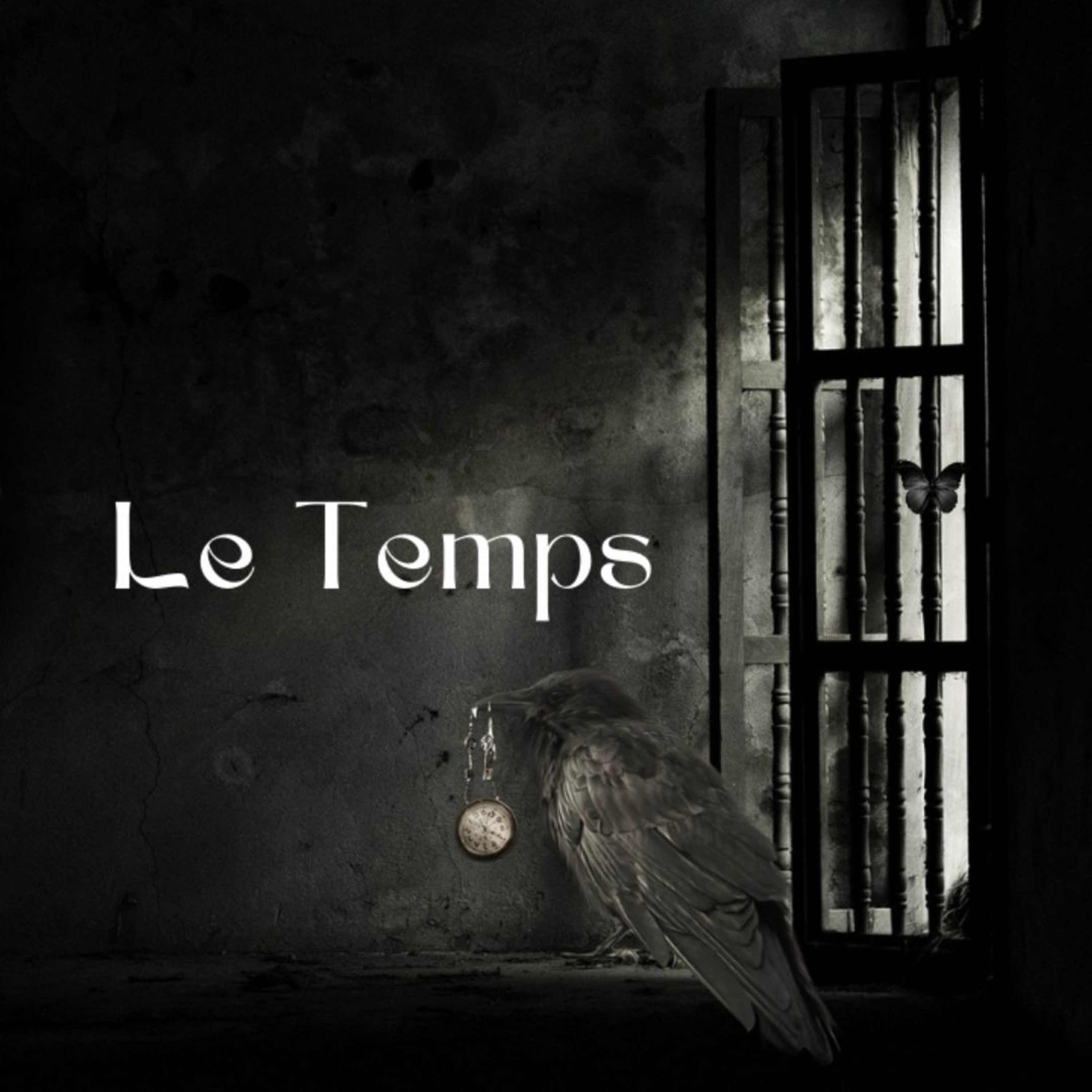 Le Papillon Noir