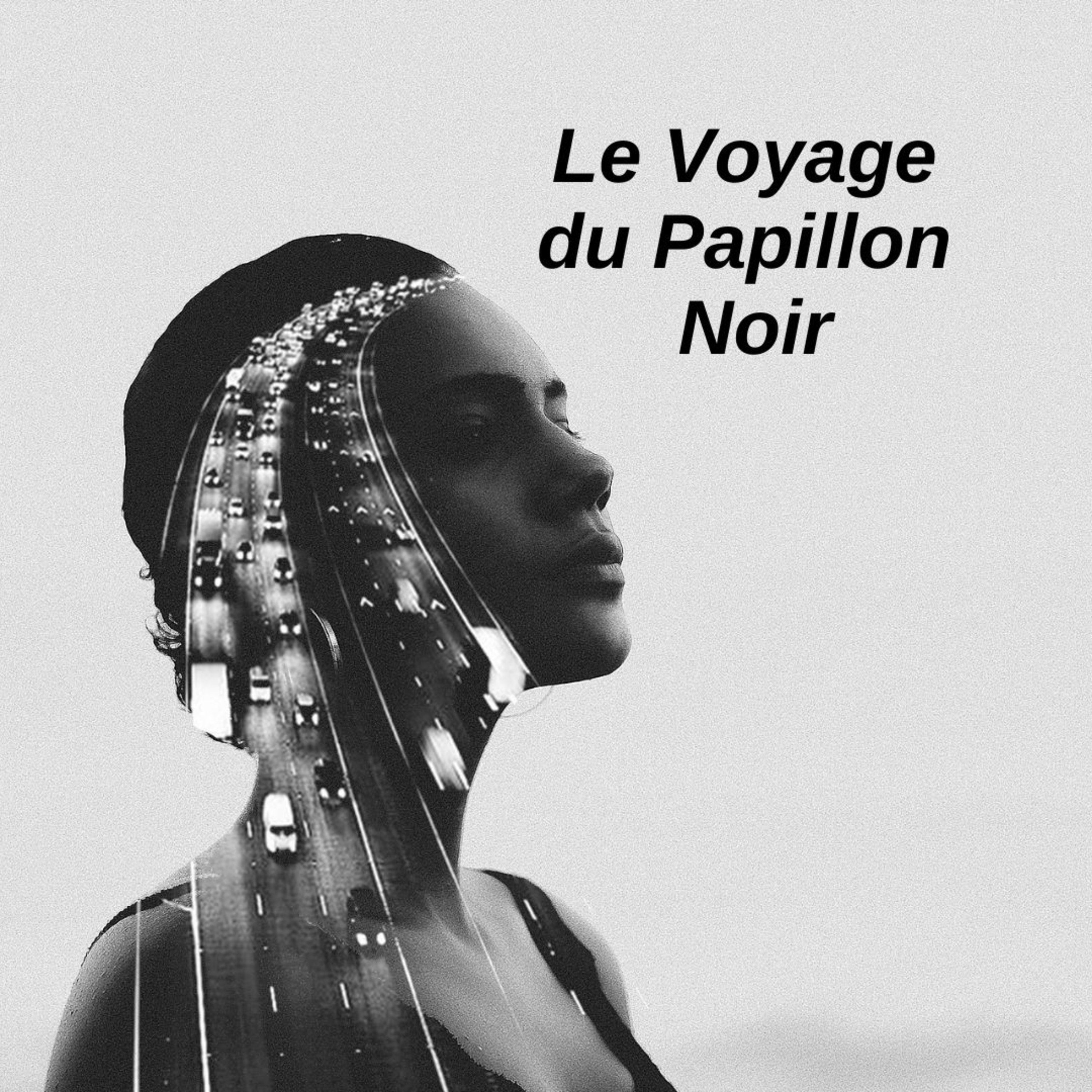 Le Papillon Noir
