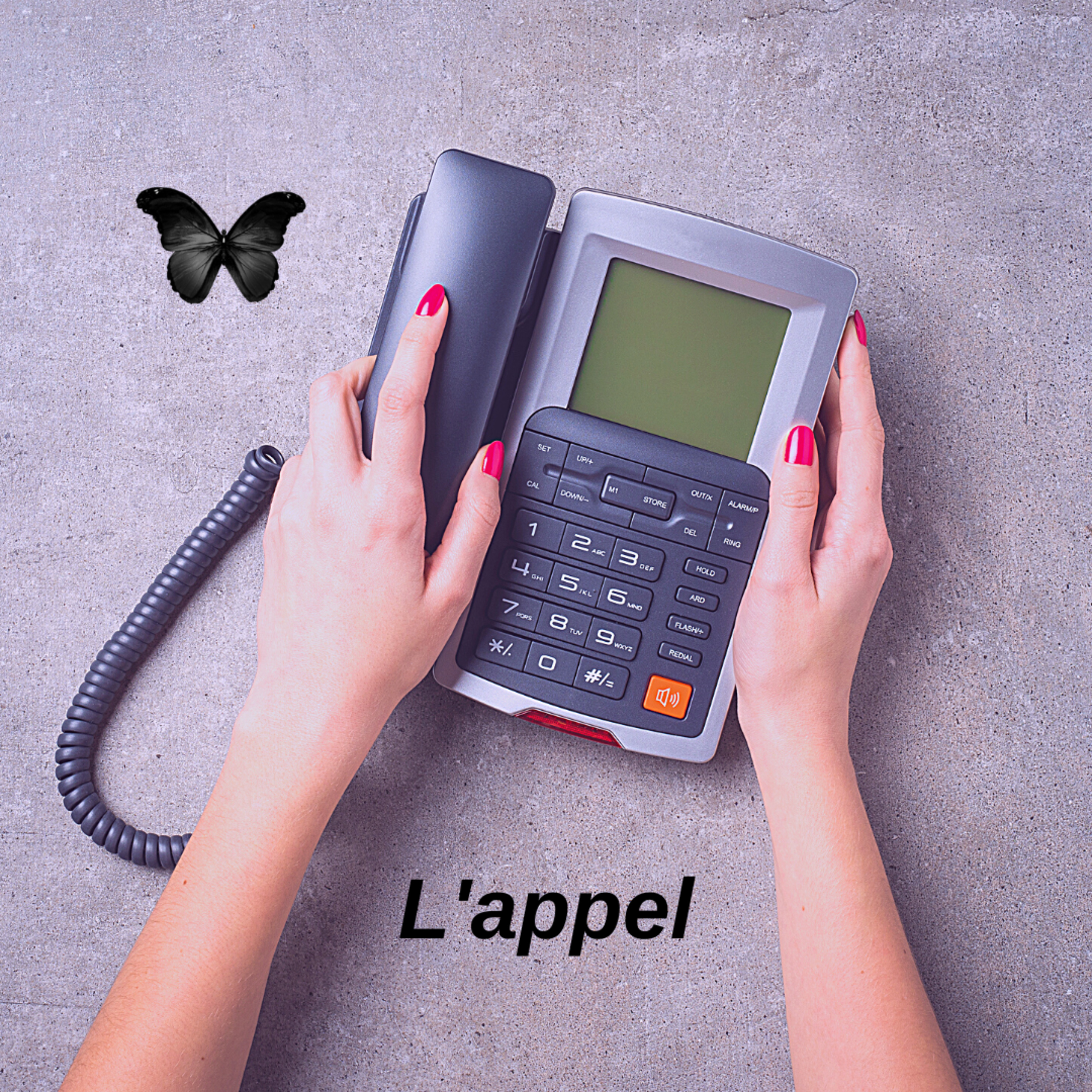 Le Papillon Noir
