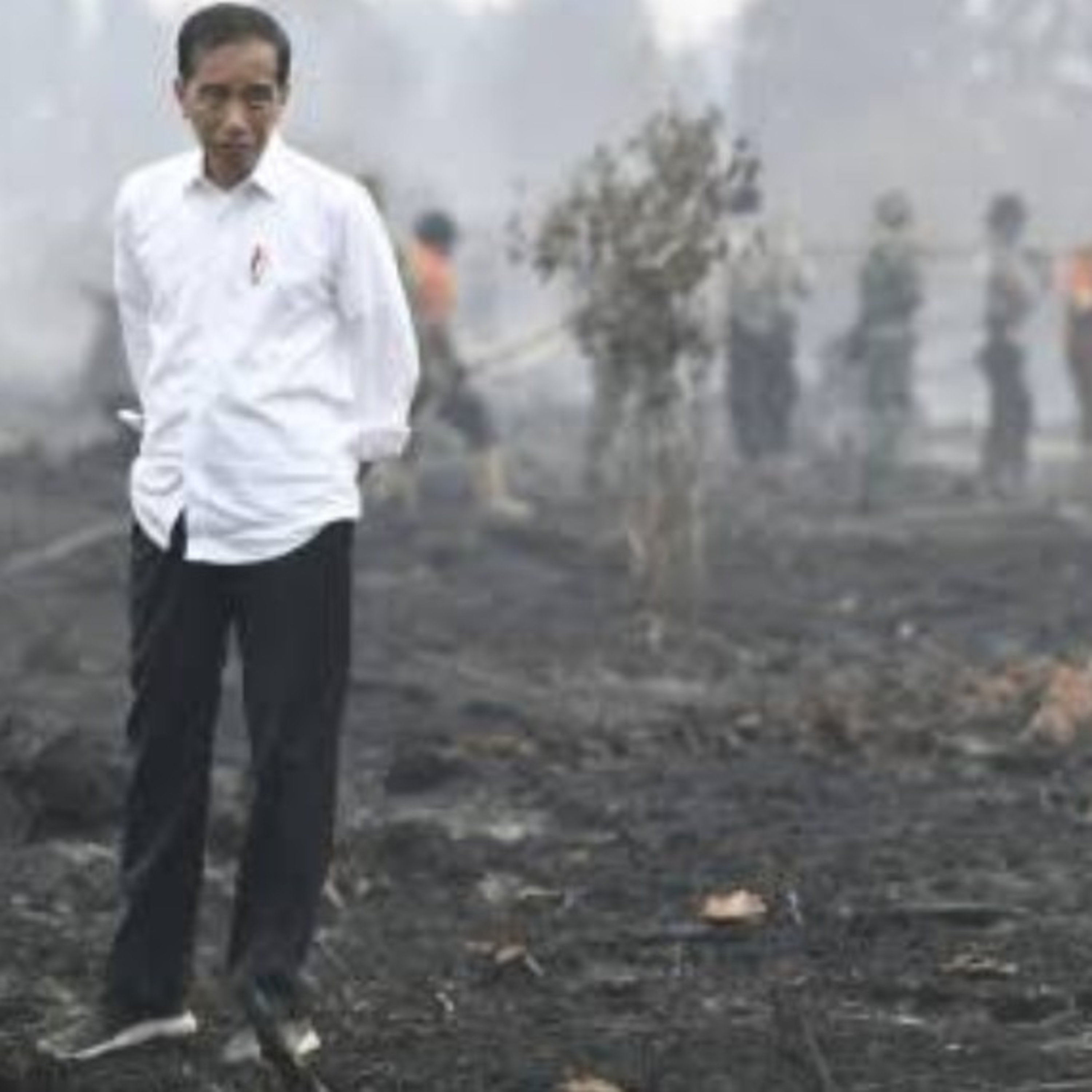 doudy joun TATIPANG