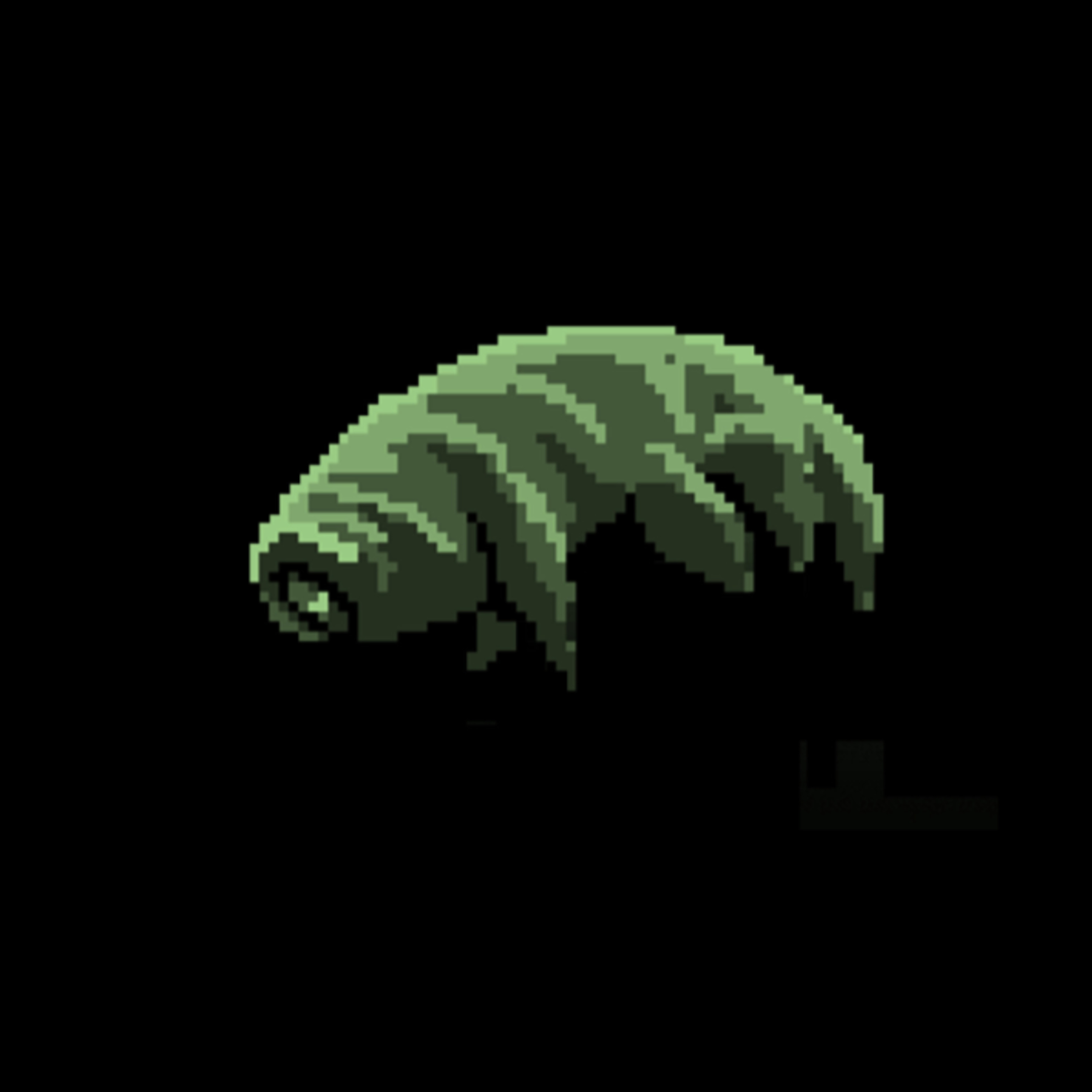 The tiniest yet strongest animal to ever exist