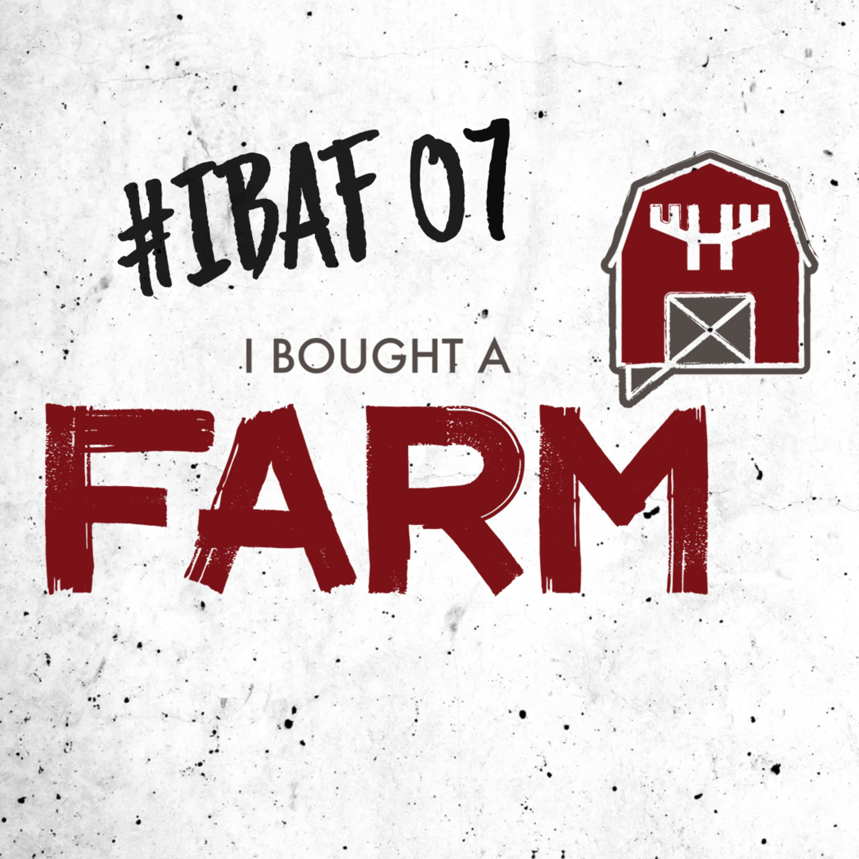 When is the Right Time to Invest in Land? | Nic Schaalma of Edward Jones | IBAF #7