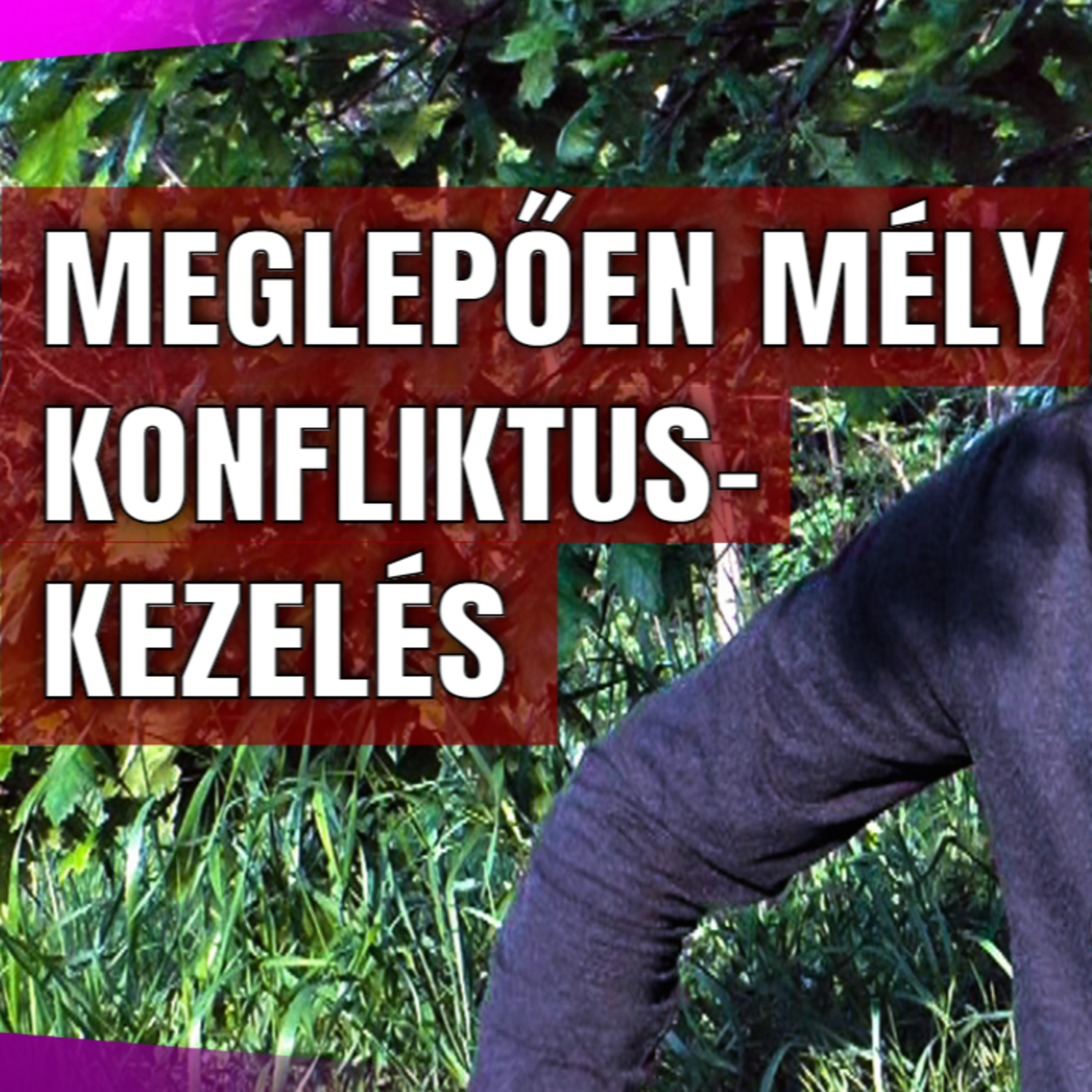 Hogyan ne bánts vissza? | konfliktuskezelés és kommunikáció fejlesztés episode artwork