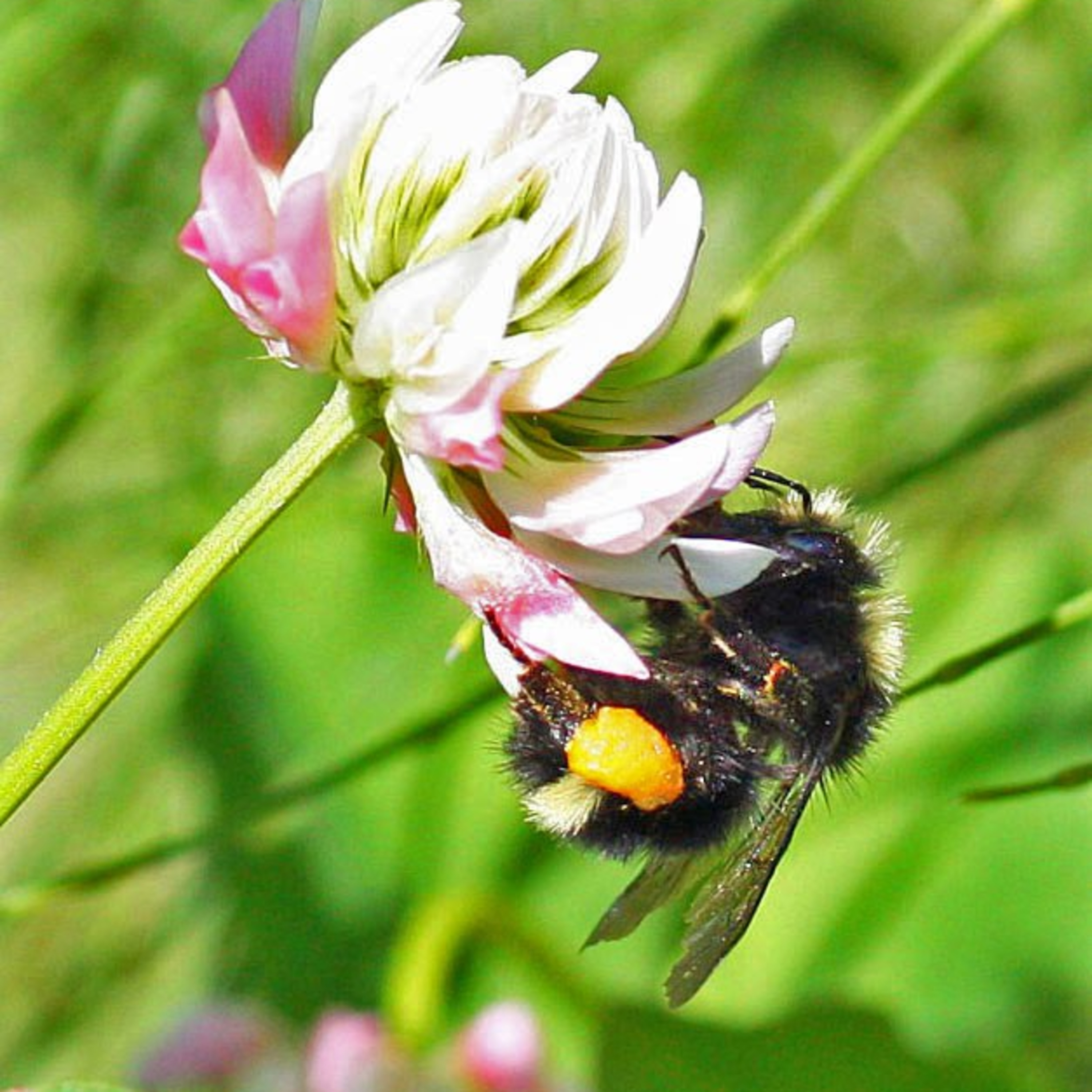 Inspired Business Magic with Mimi