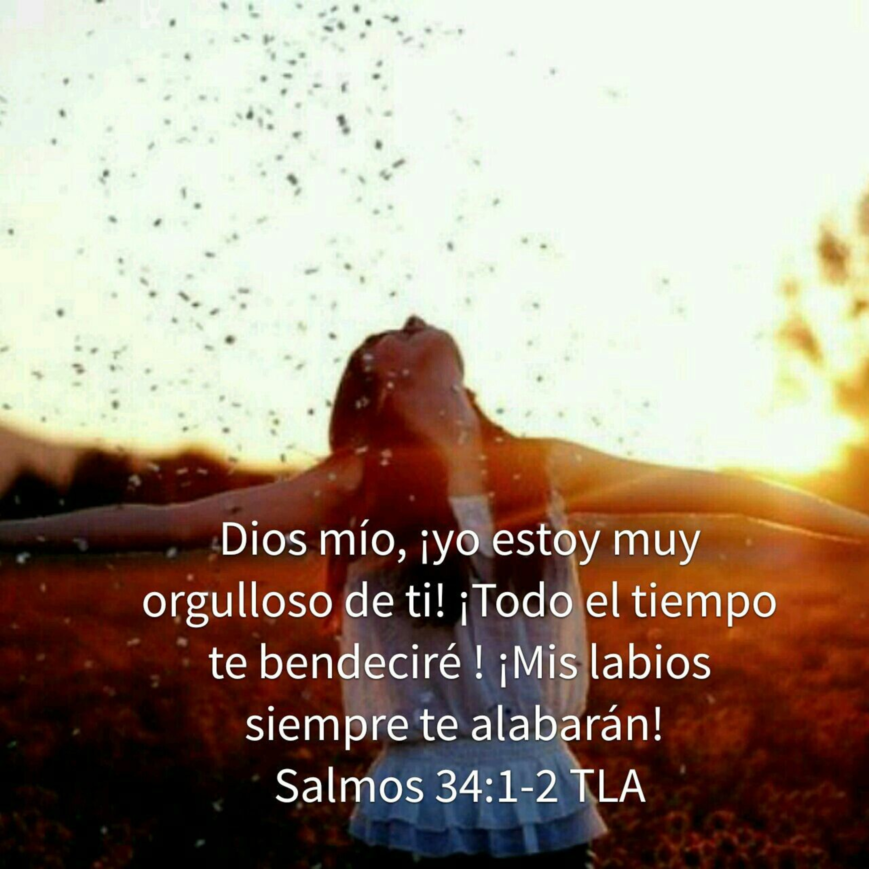 Meditaciones Diarias