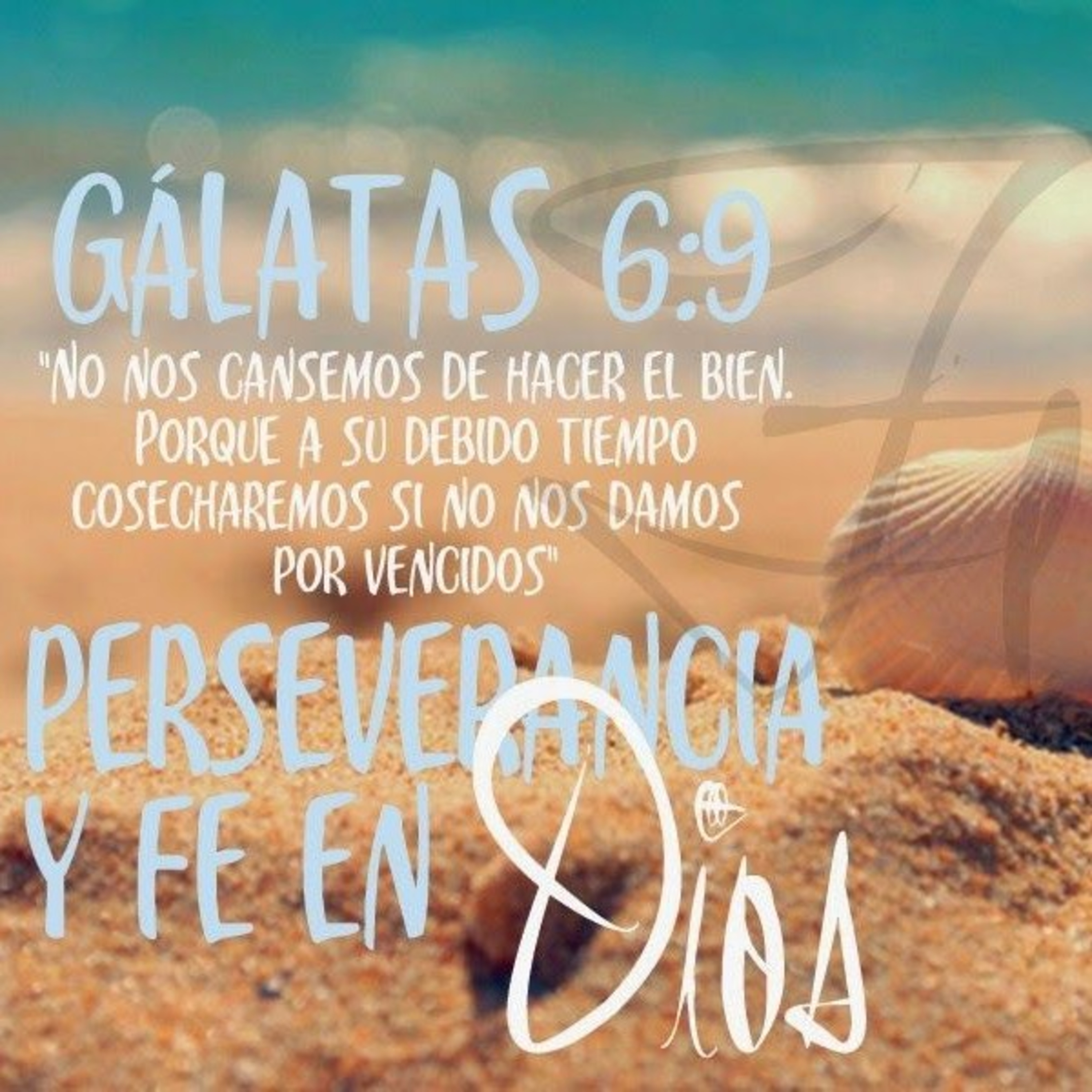 Meditaciones Diarias