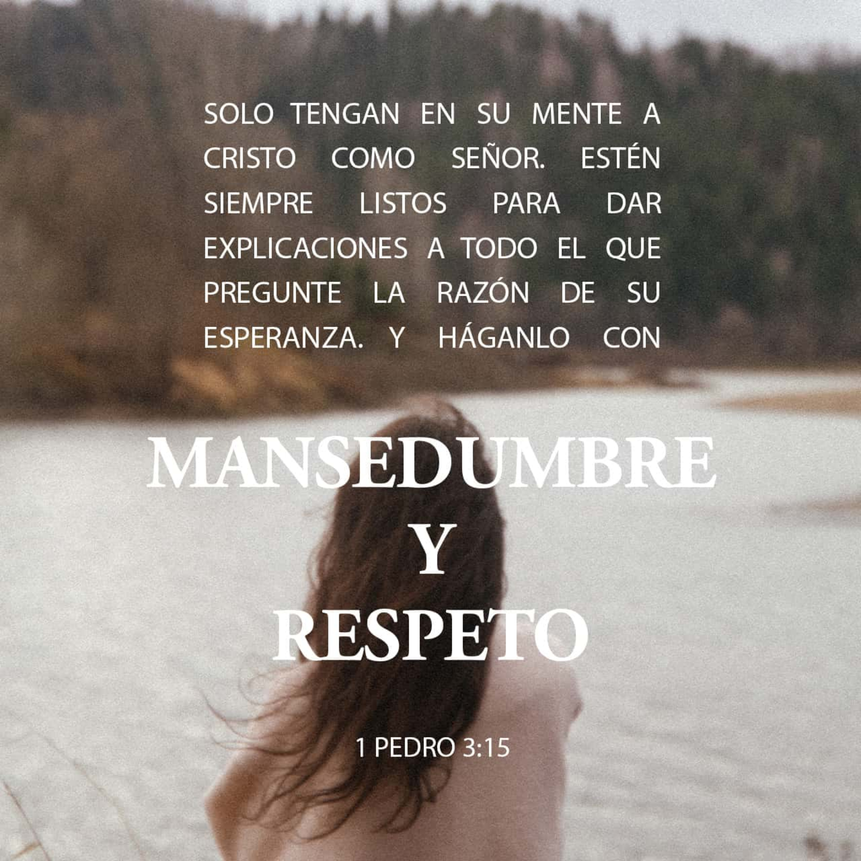 Meditaciones Diarias
