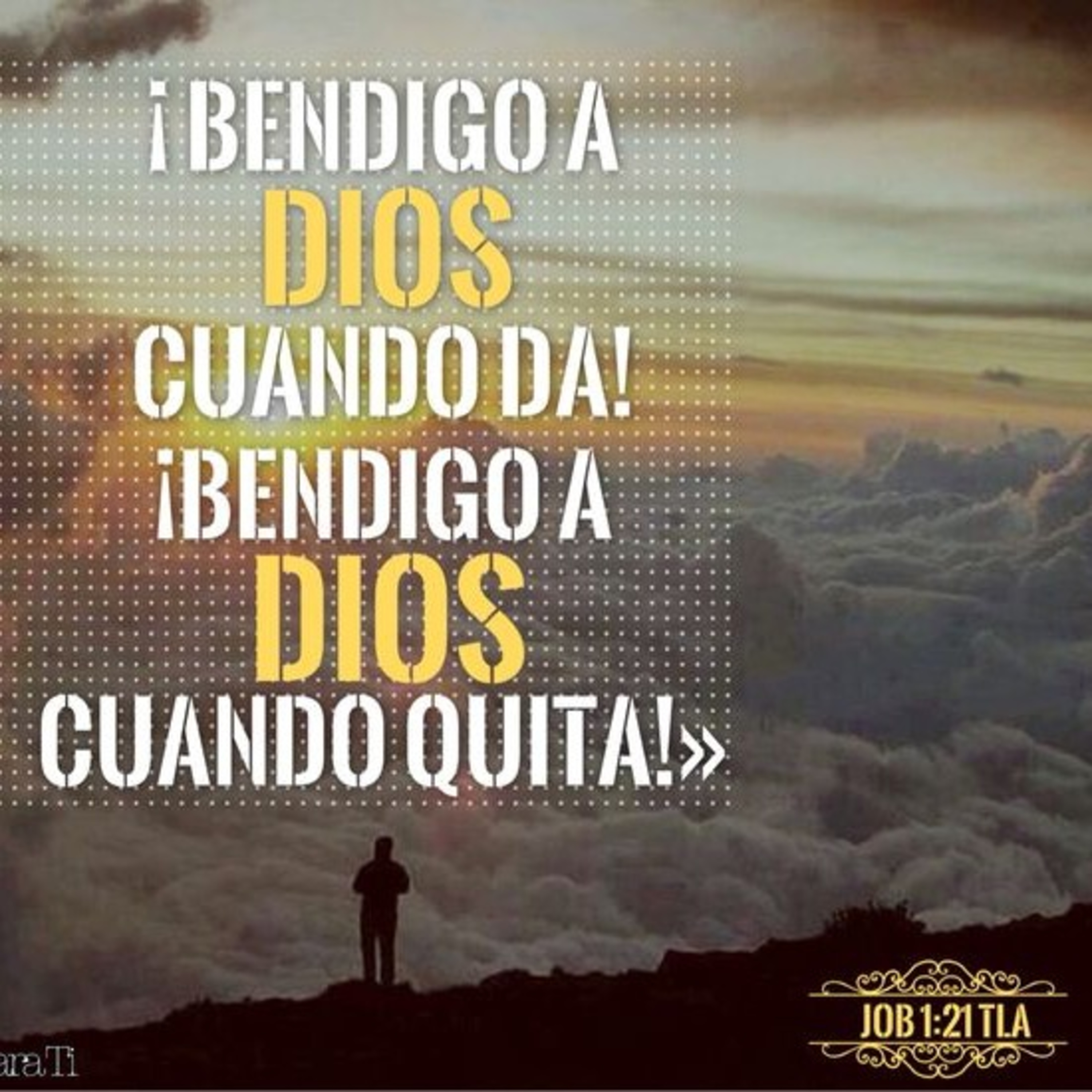 Meditaciones Diarias