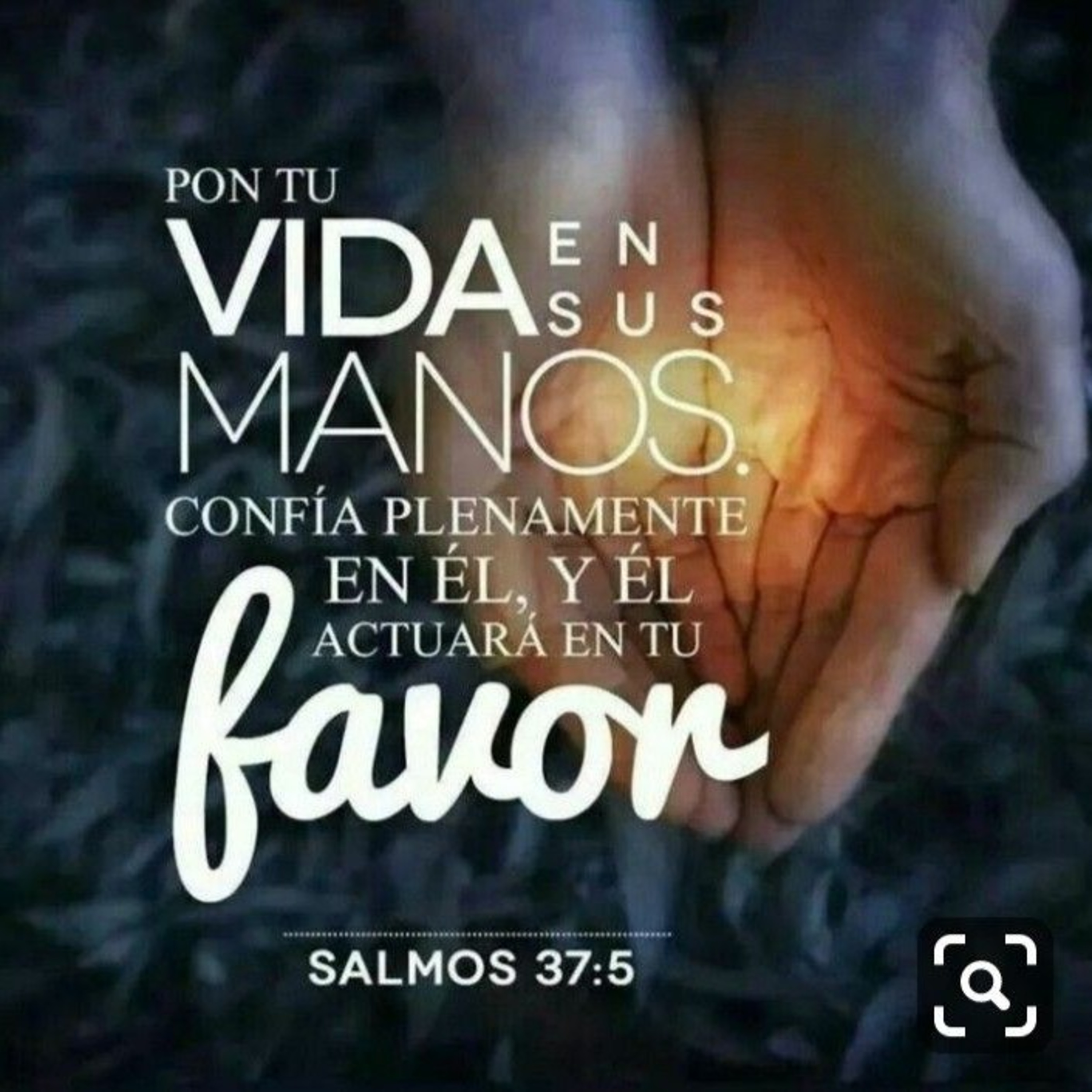 Meditaciones Diarias