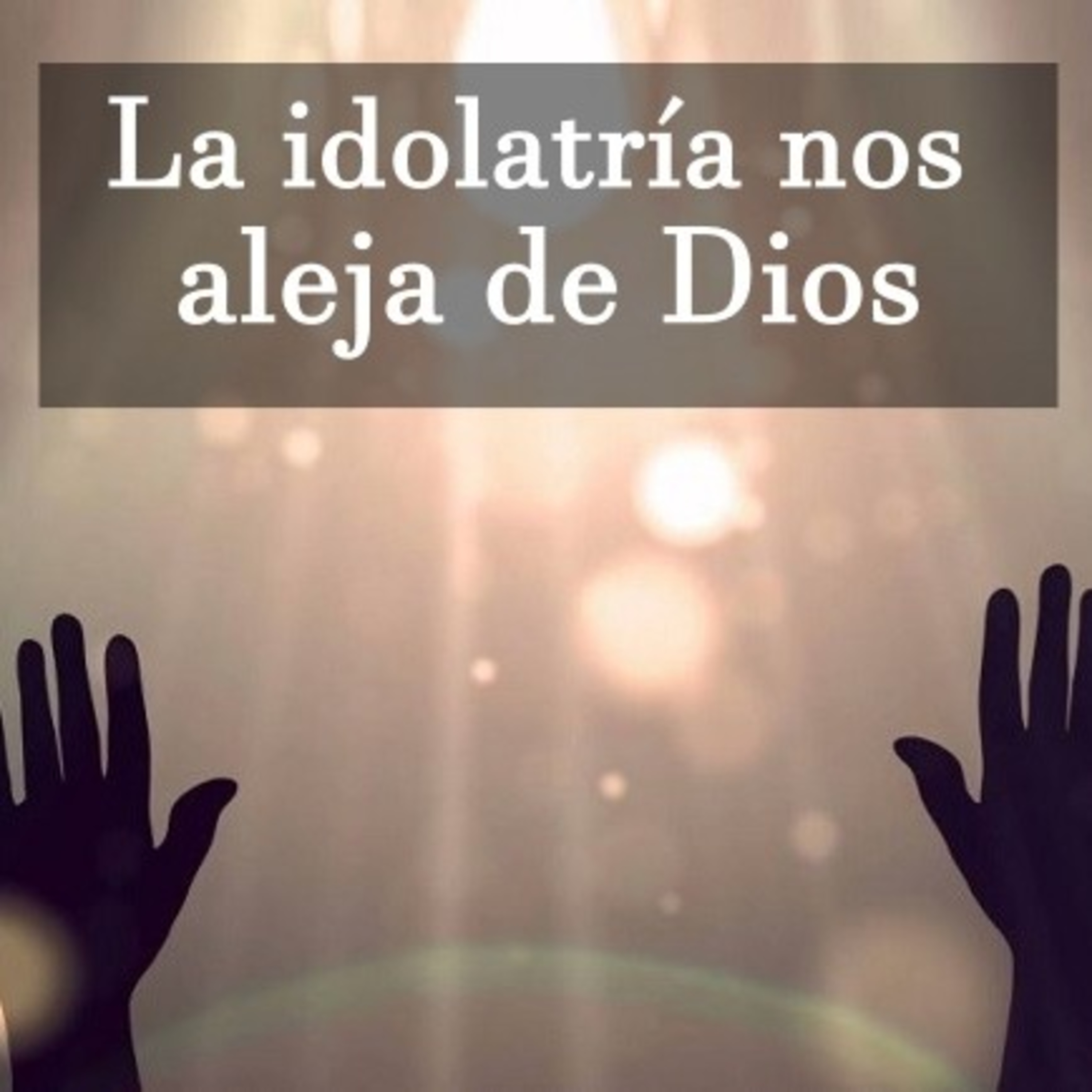 Meditaciones Diarias