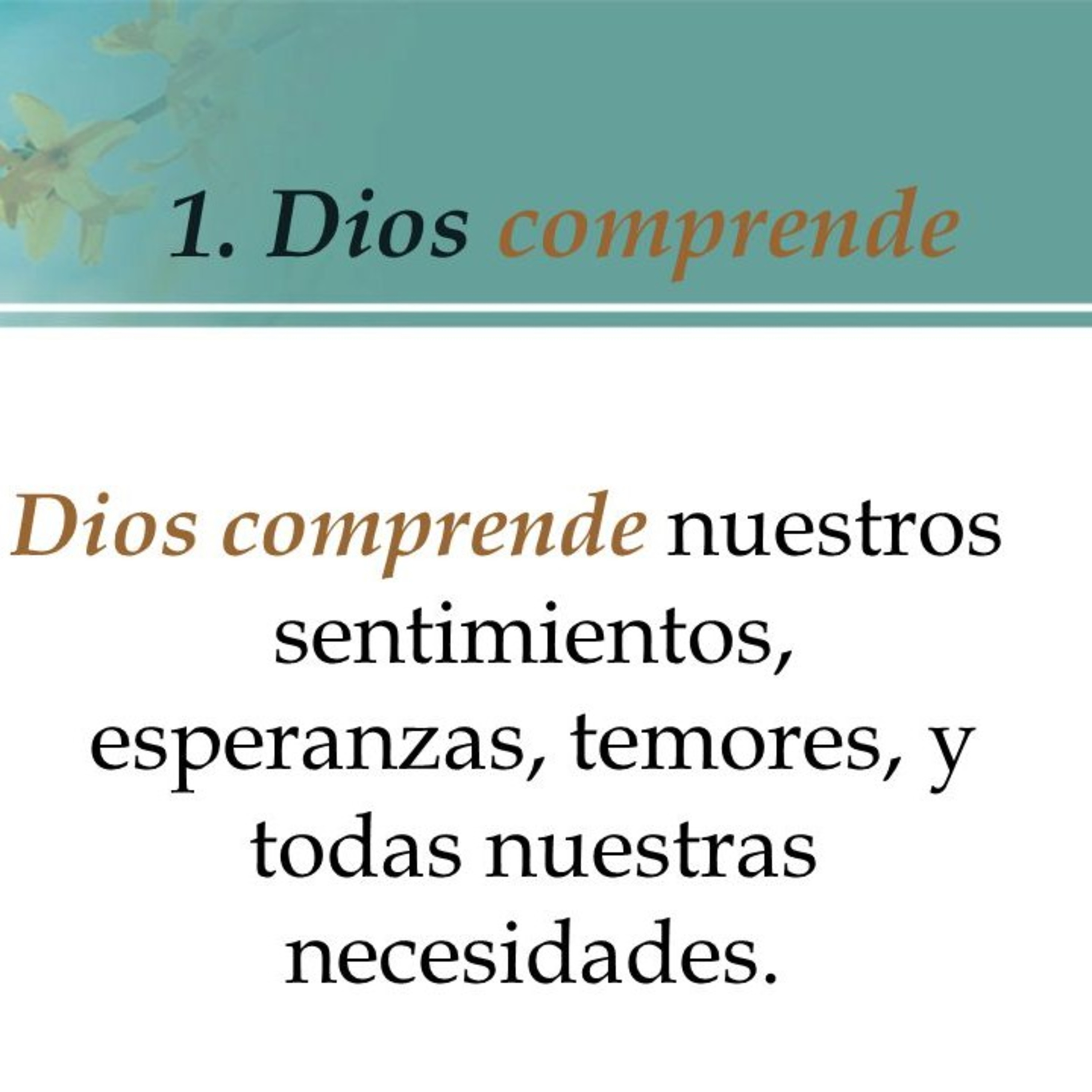 Meditaciones Diarias