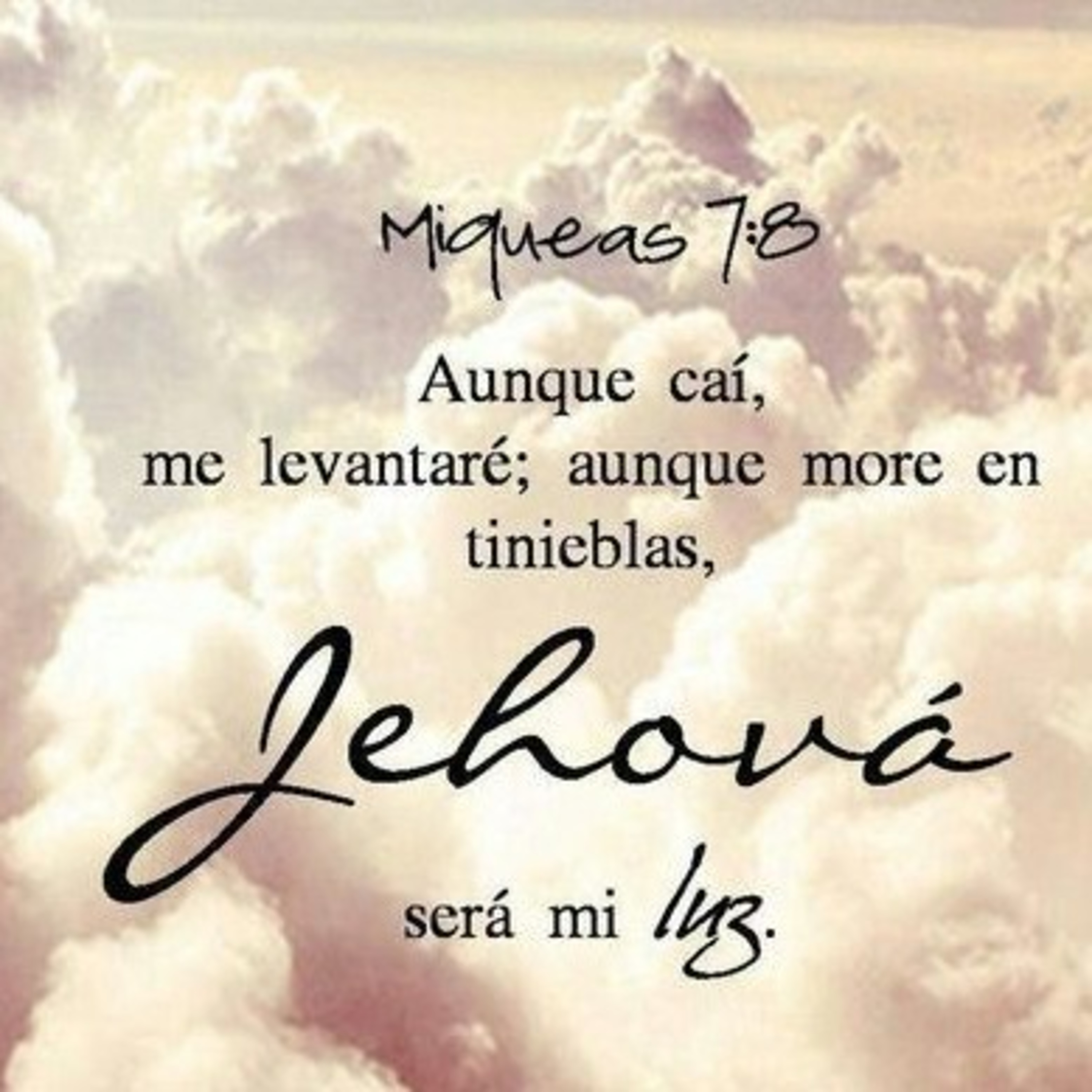 Meditaciones Diarias