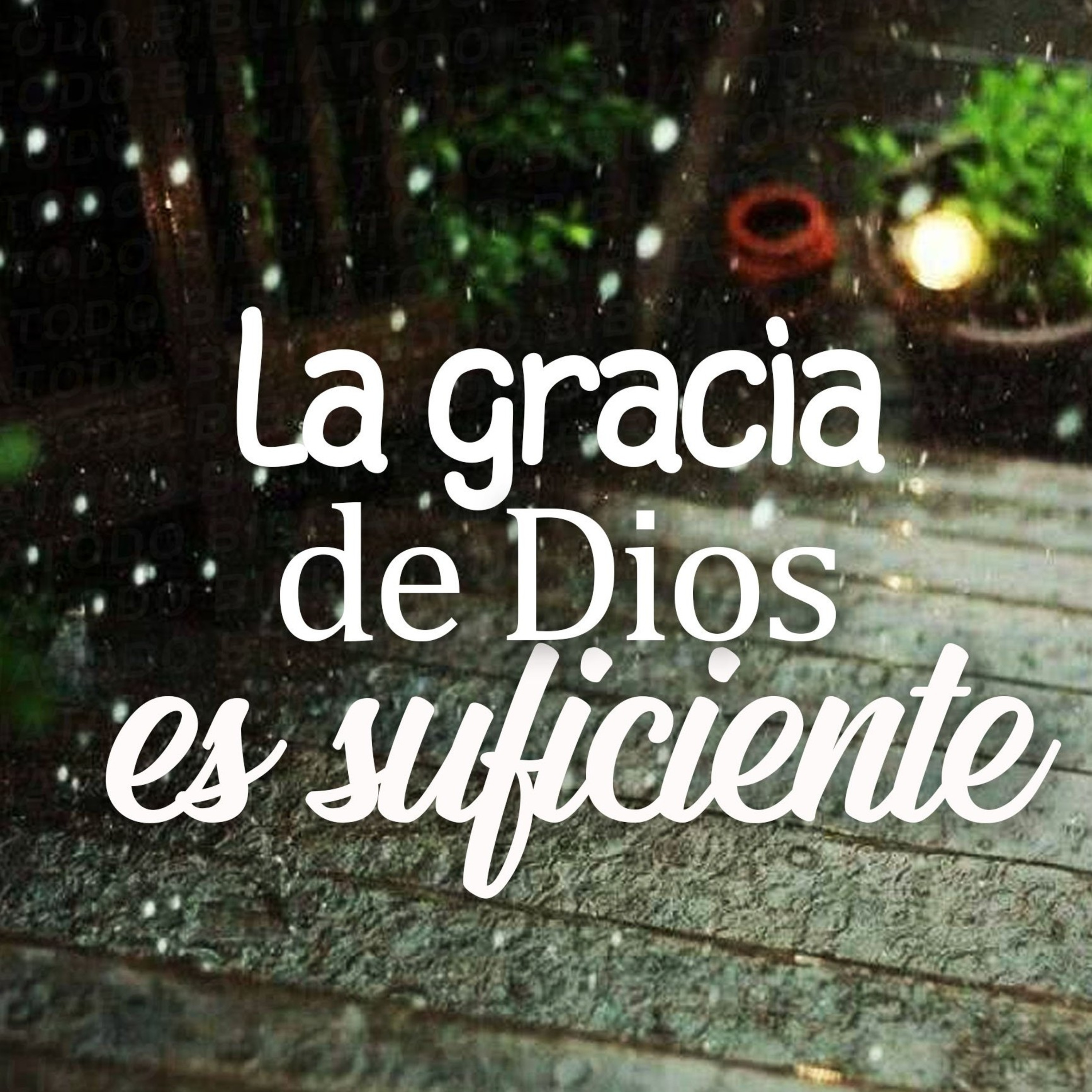 Meditaciones Diarias