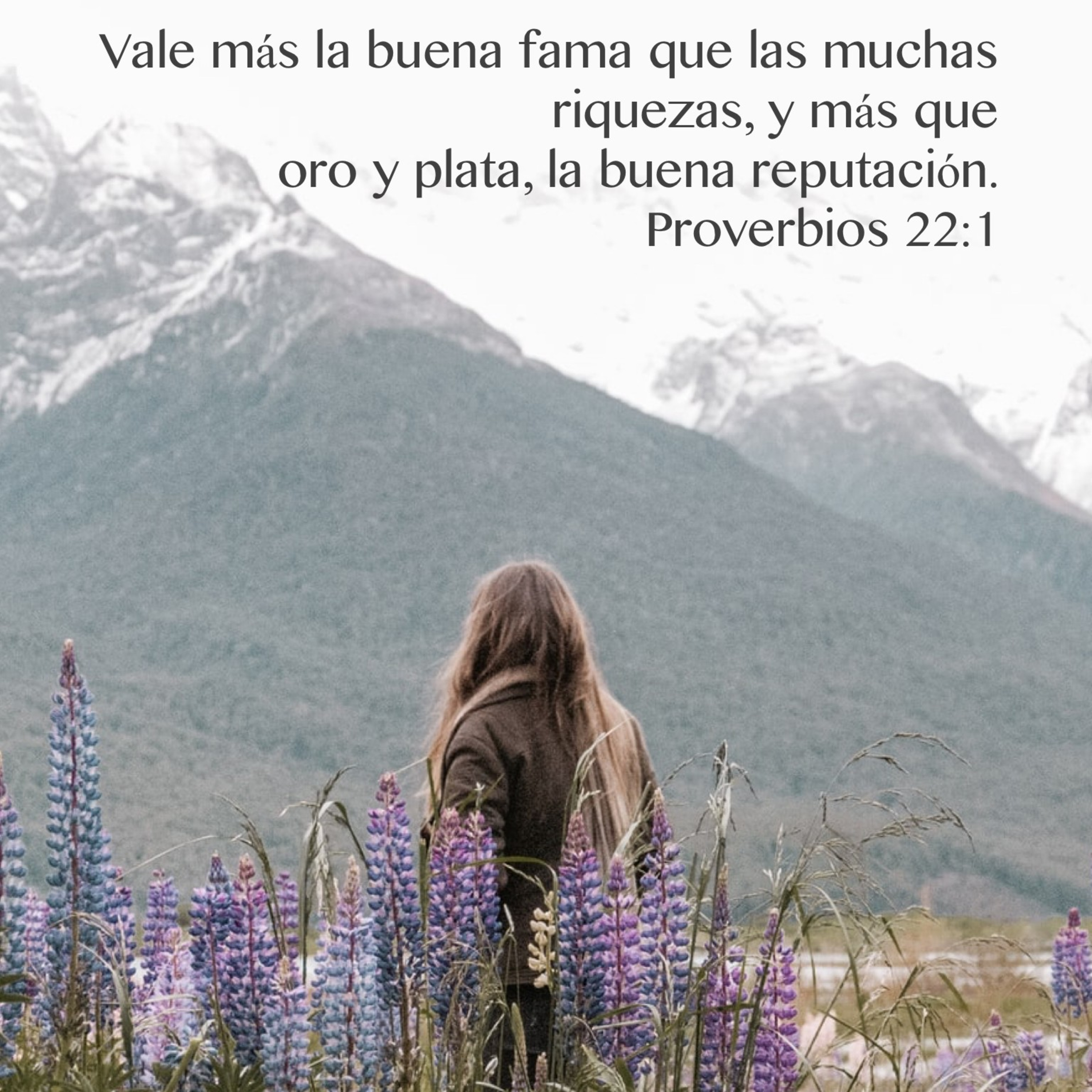 Meditaciones Diarias