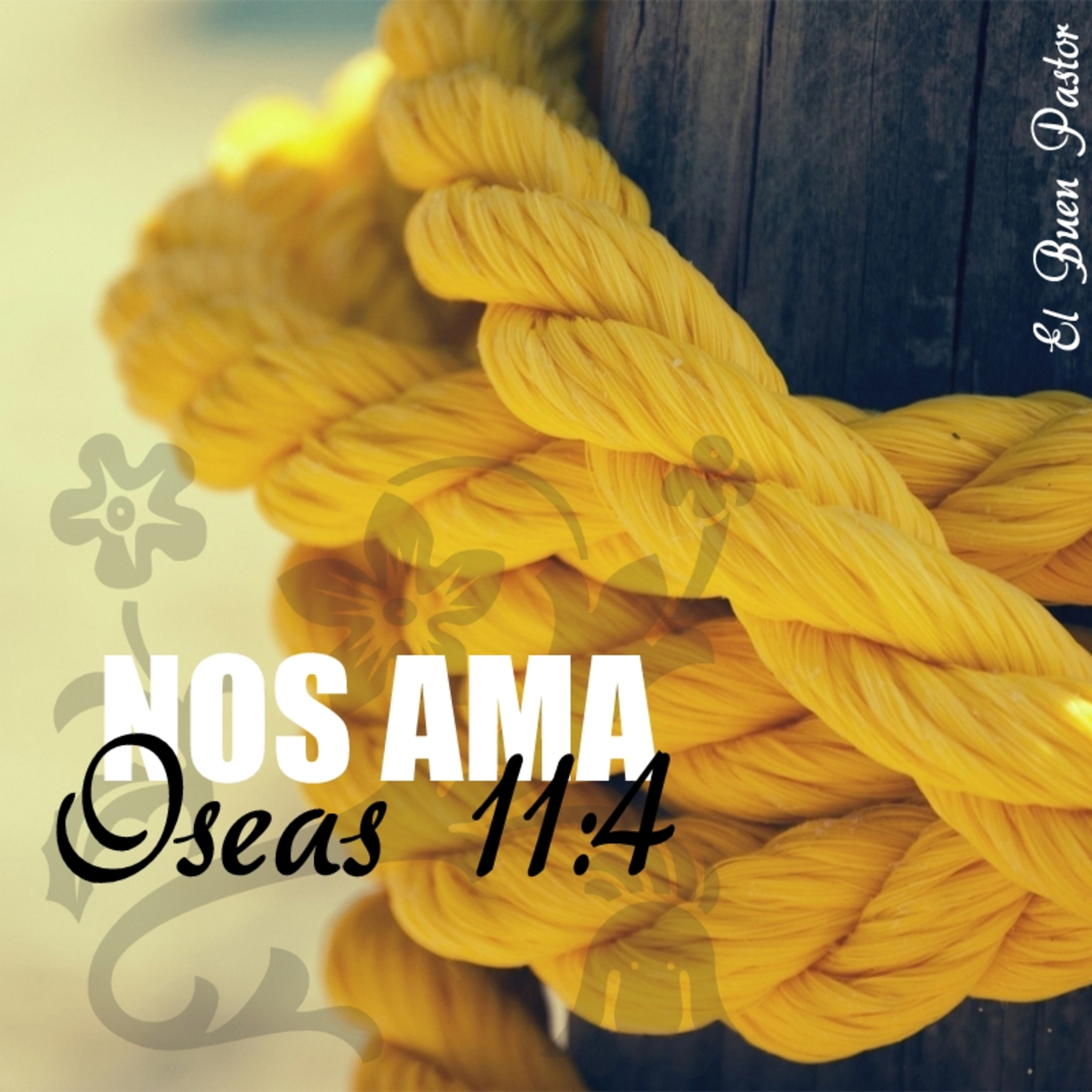 Meditaciones Diarias