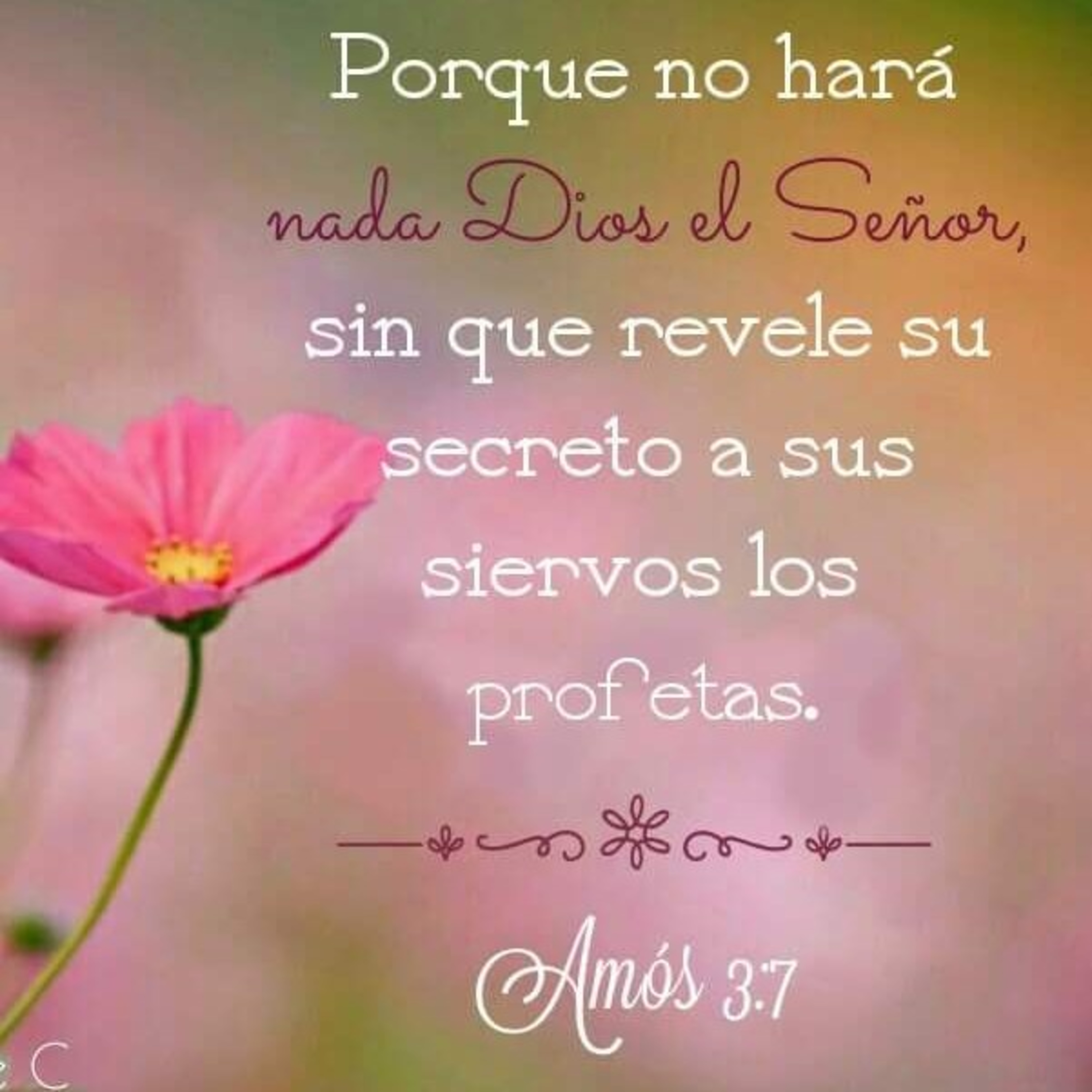 Meditaciones Diarias