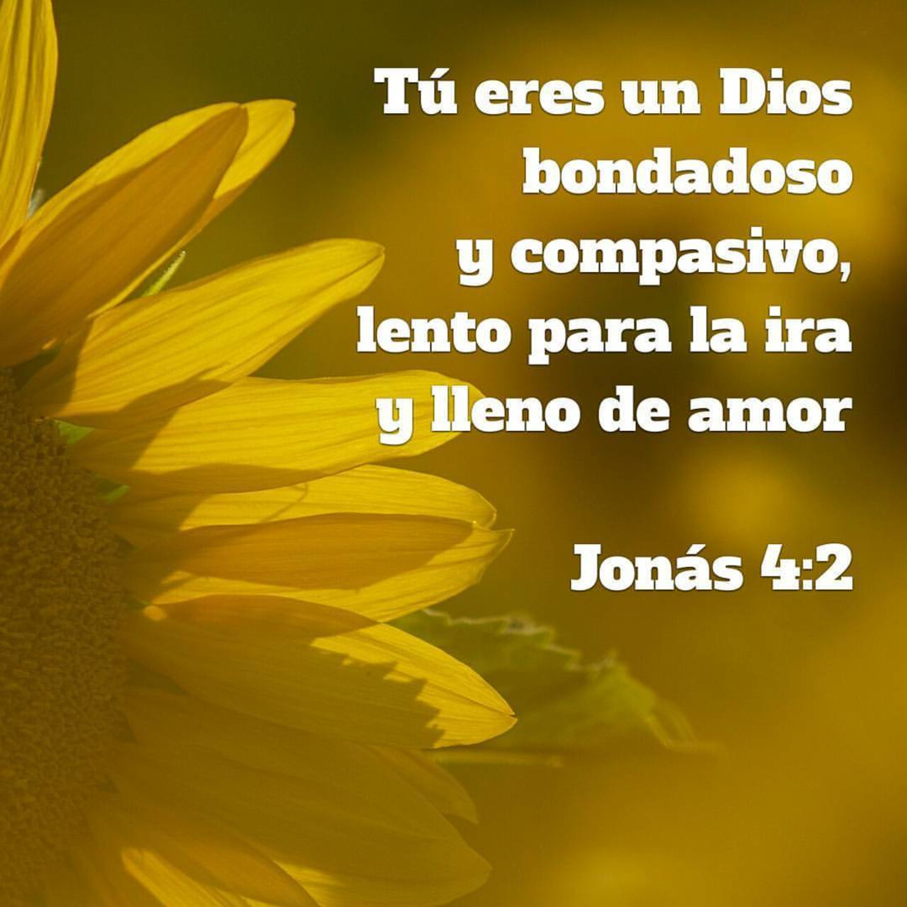 Meditaciones Diarias