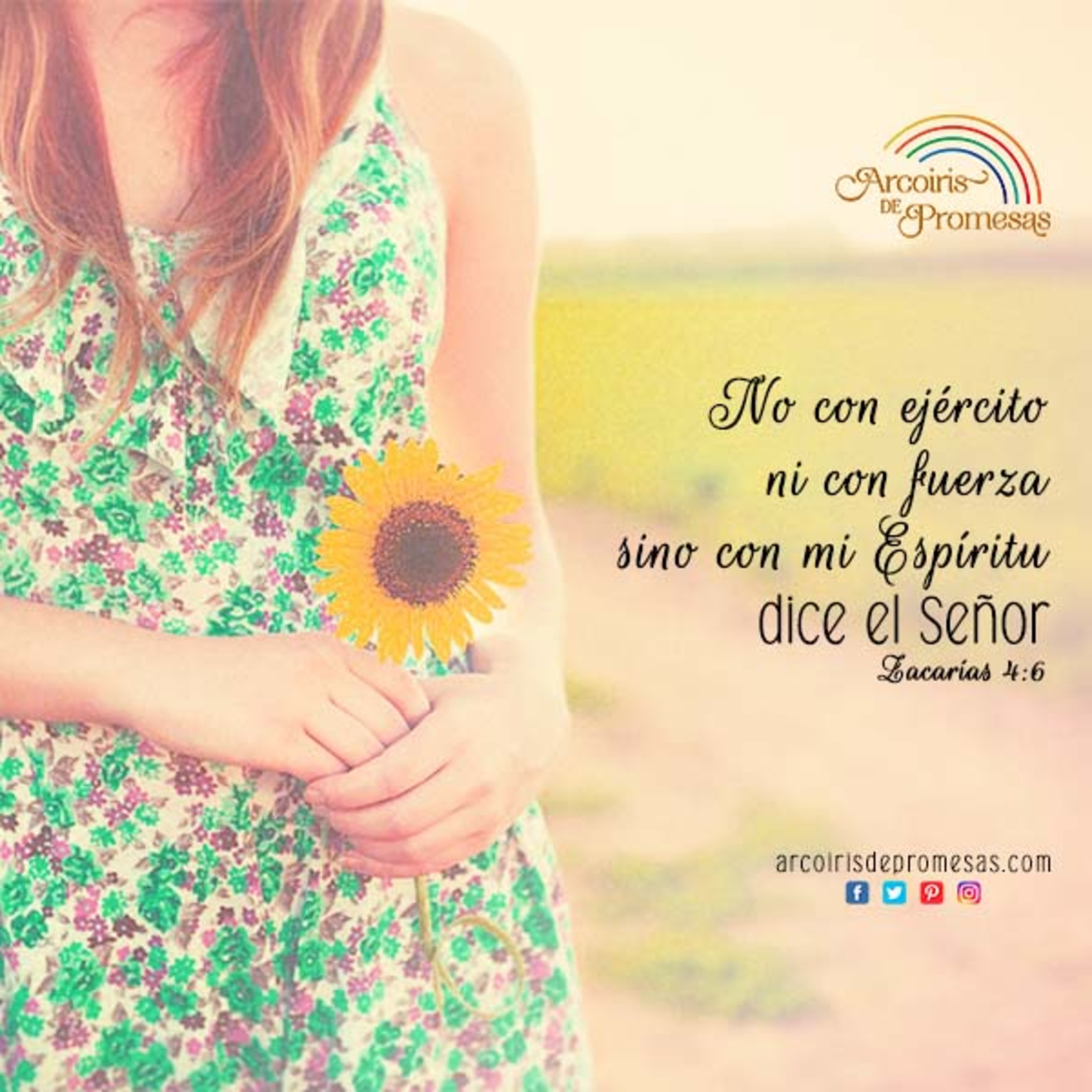 Meditaciones Diarias