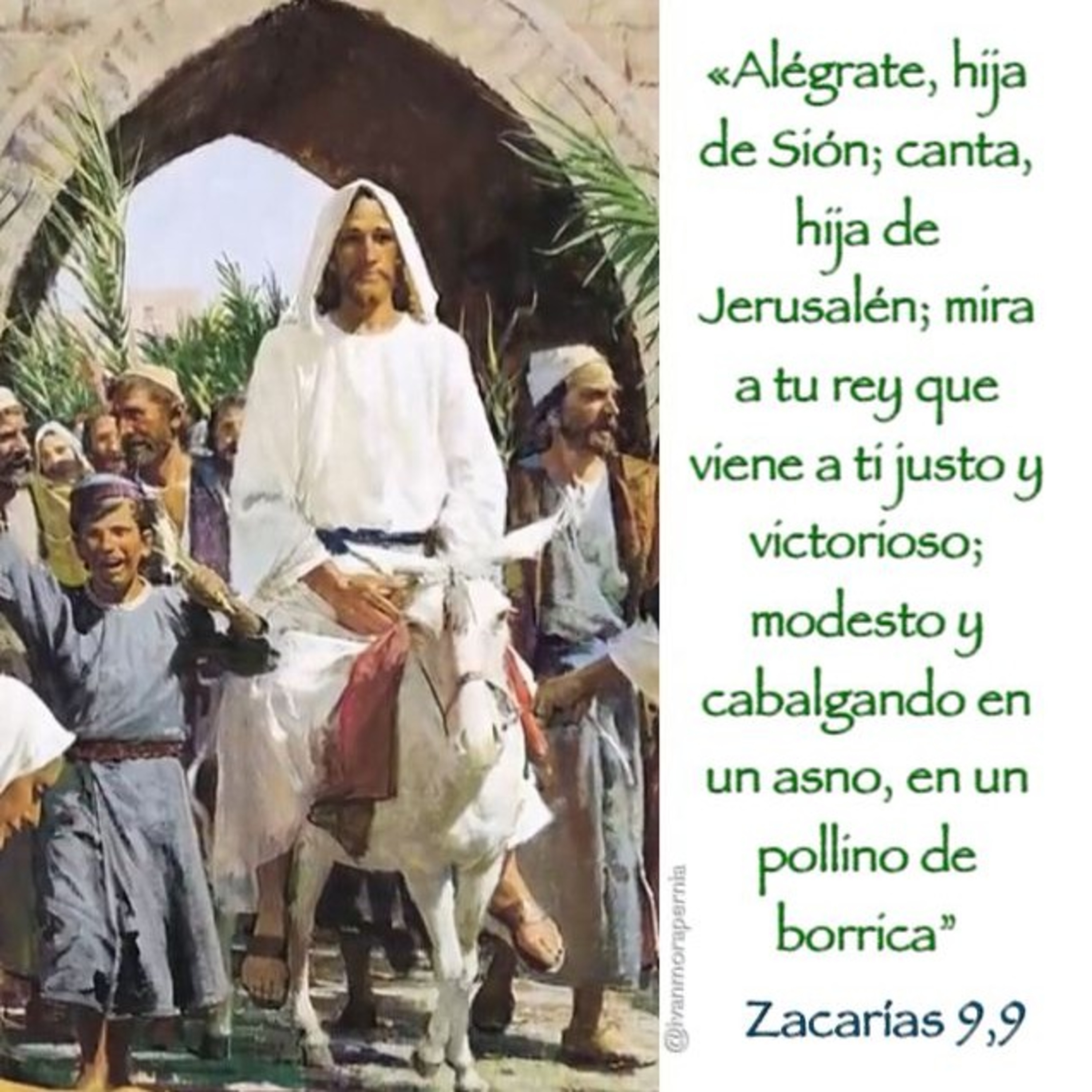 Meditaciones Diarias