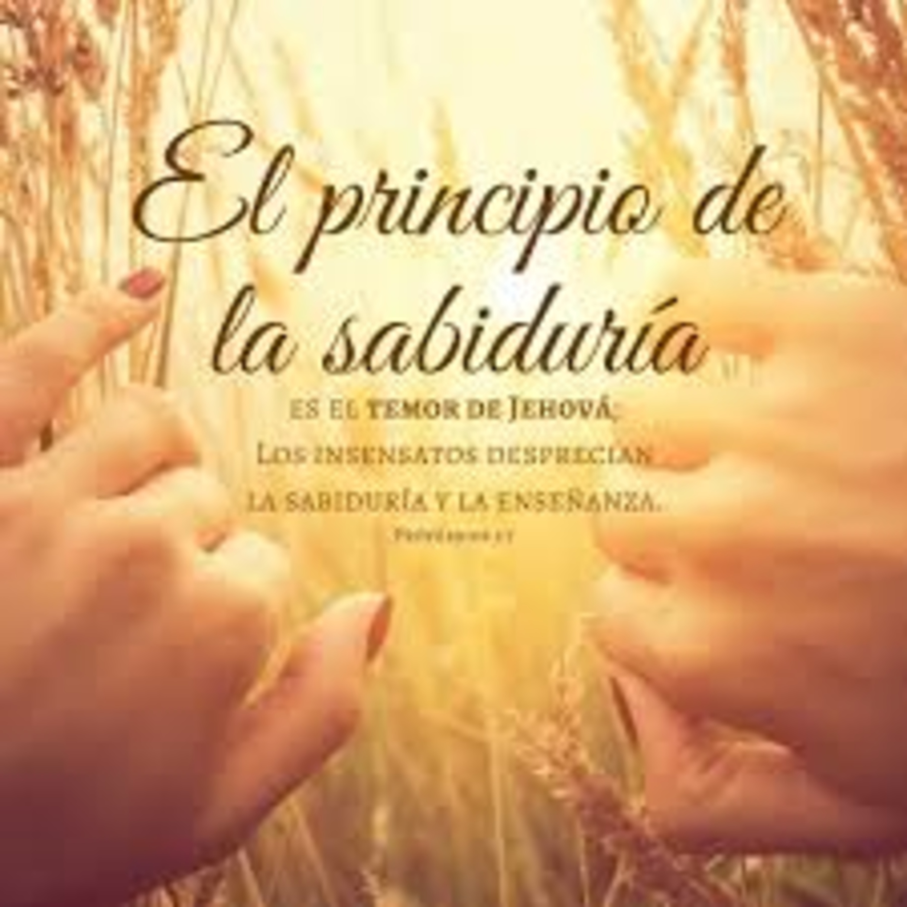 Meditaciones Diarias