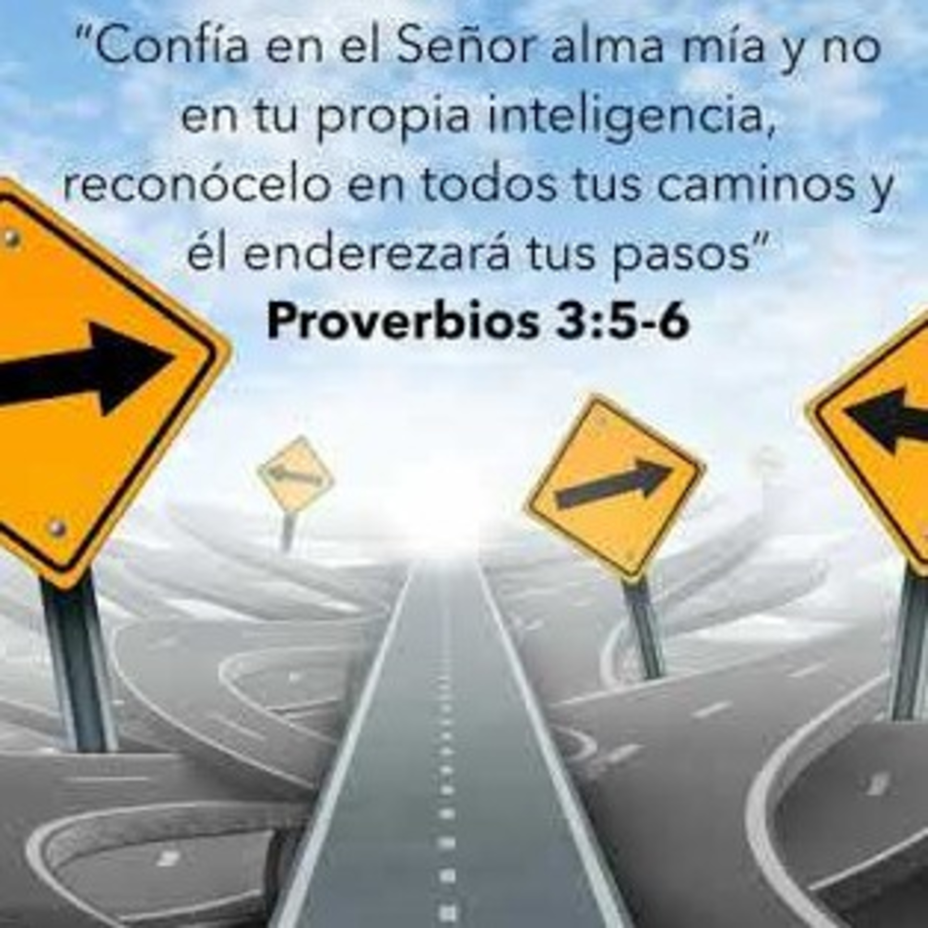 Meditaciones Diarias