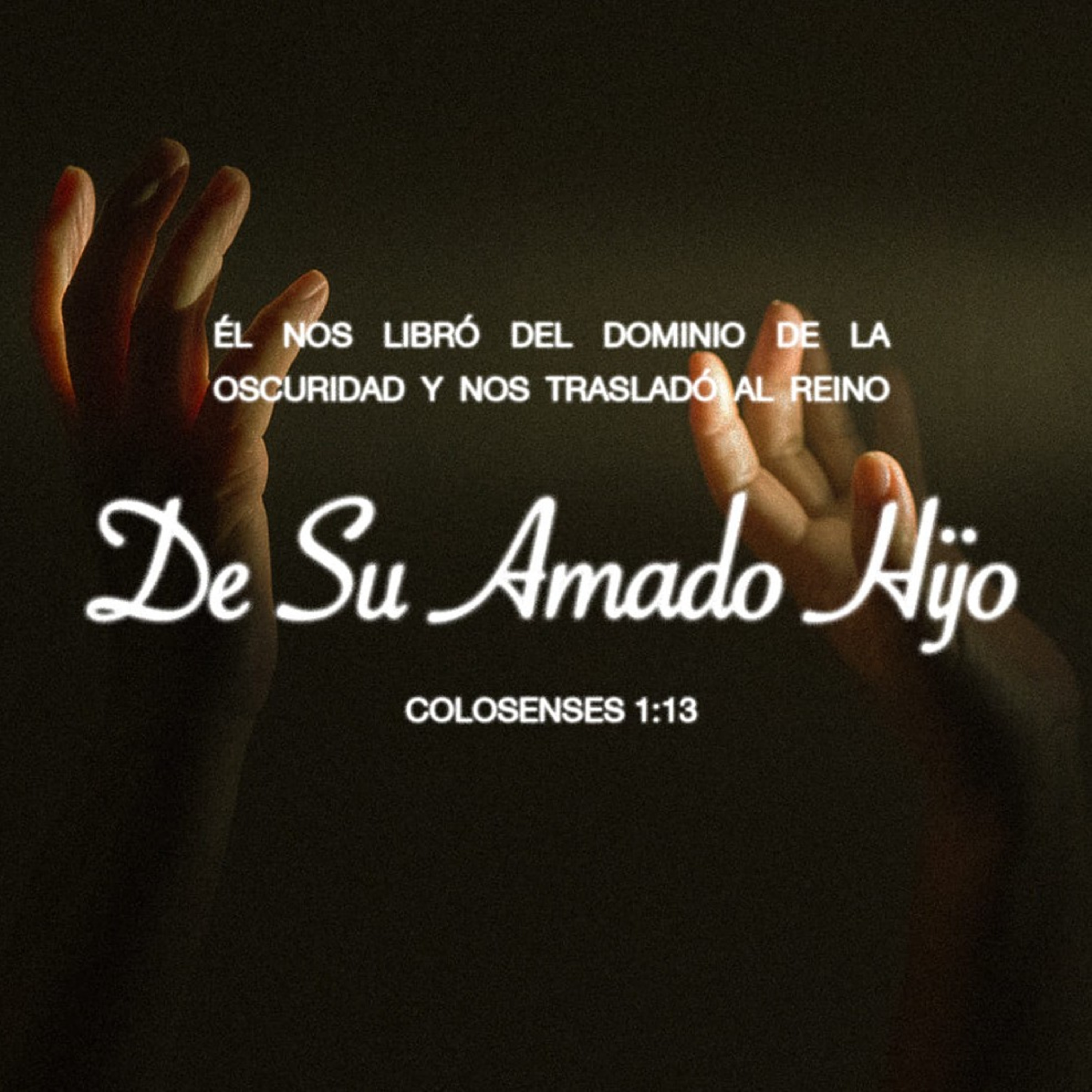 Meditaciones Diarias
