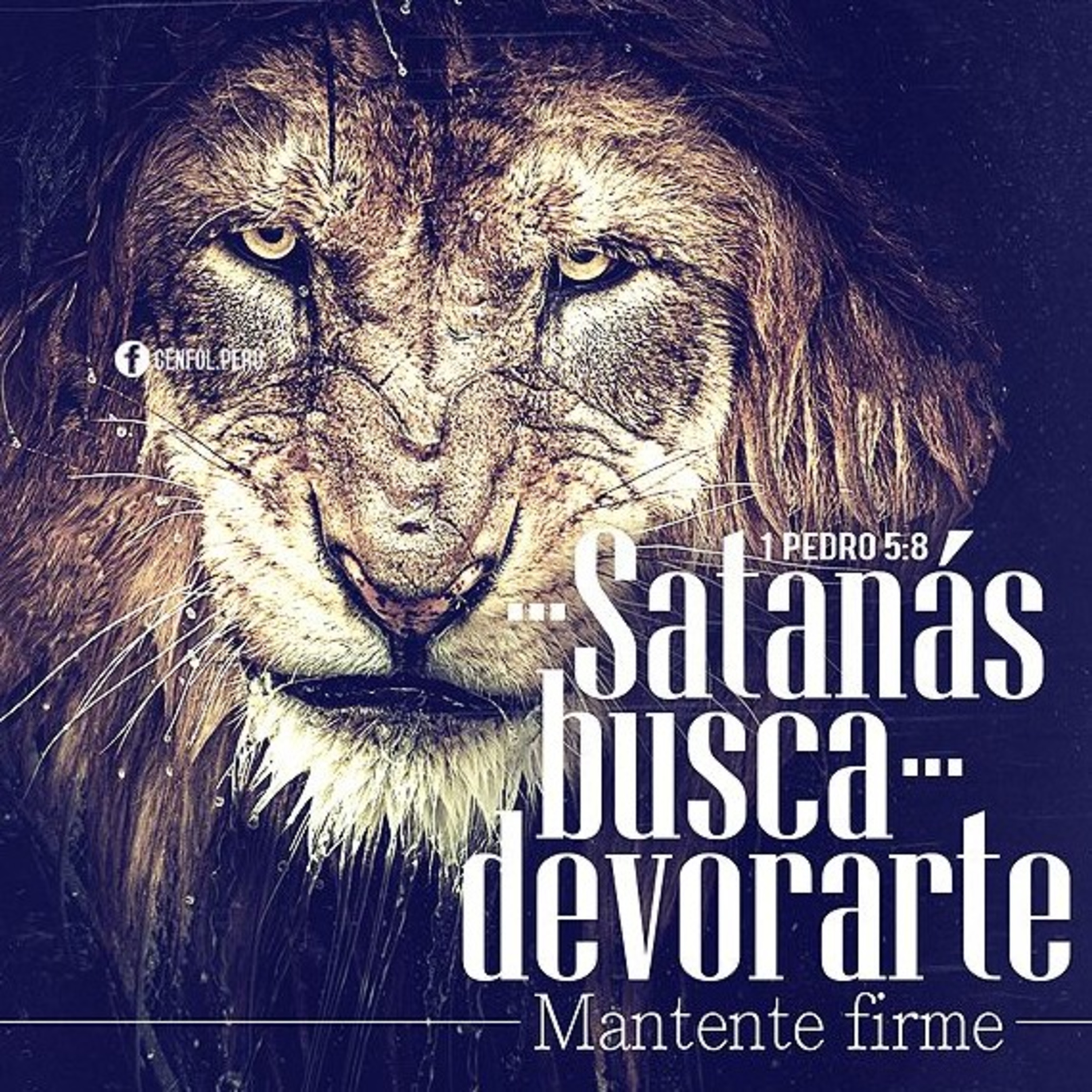 Meditaciones Diarias