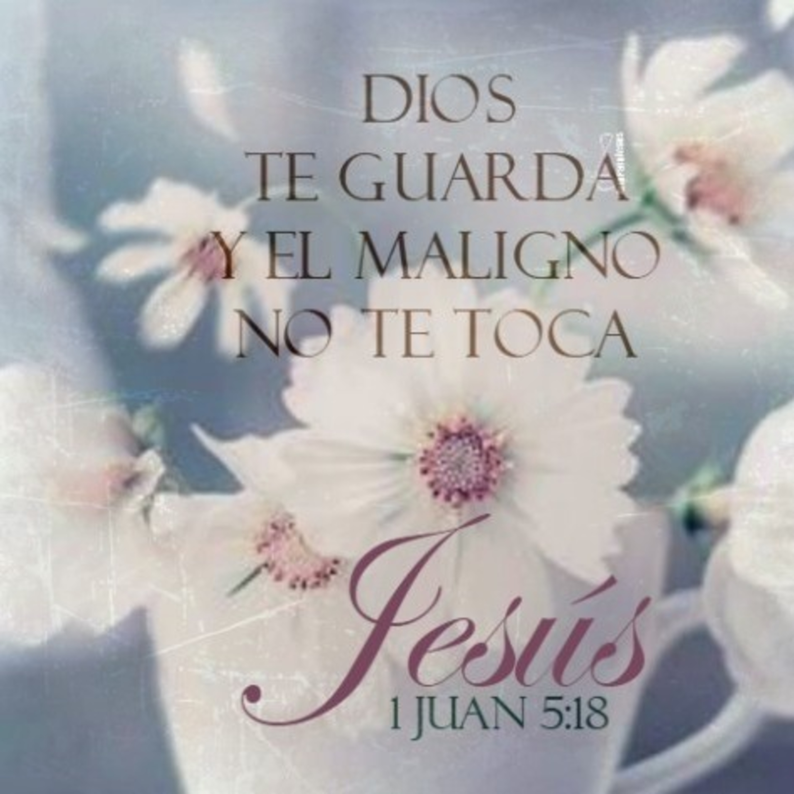 Meditaciones Diarias