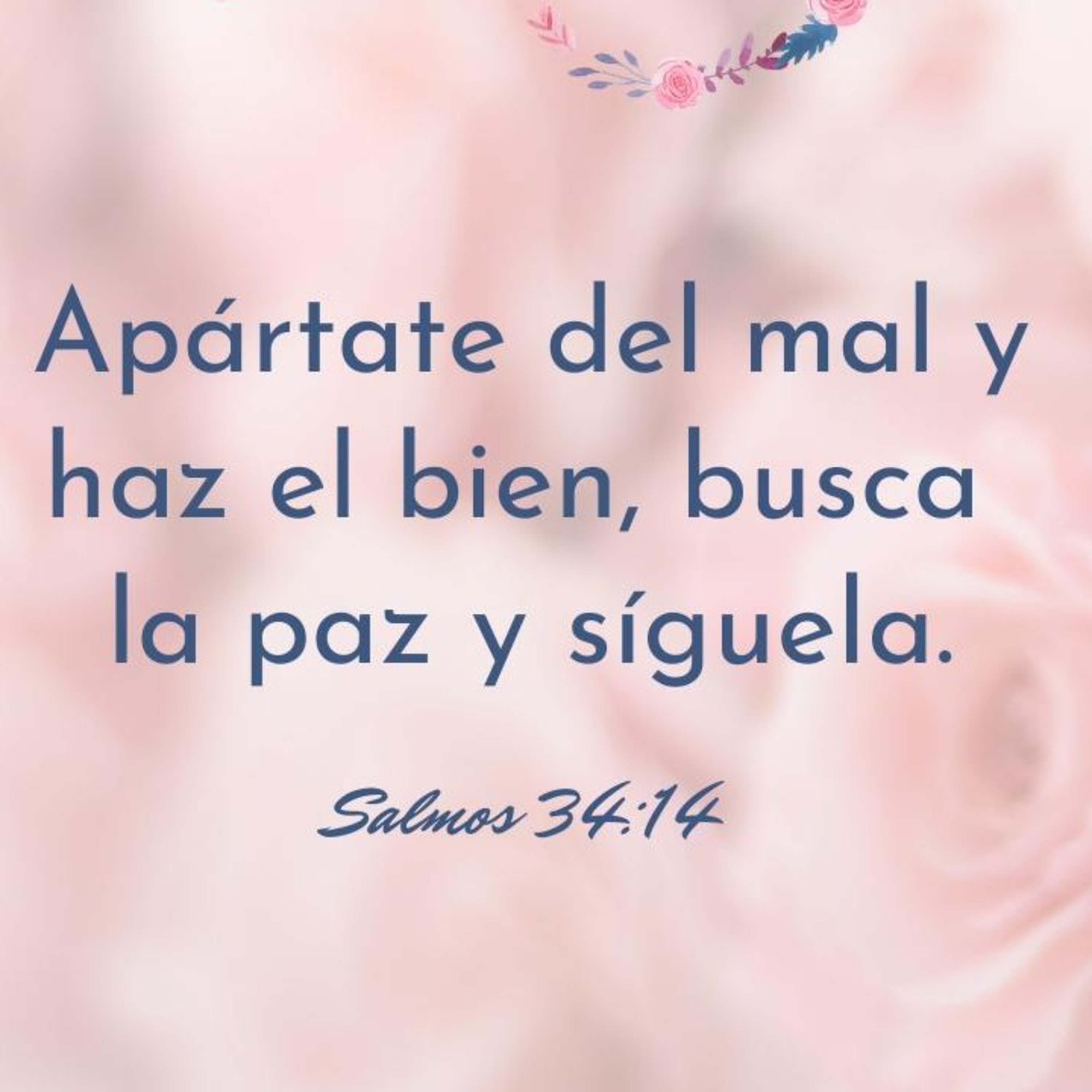 Meditaciones Diarias